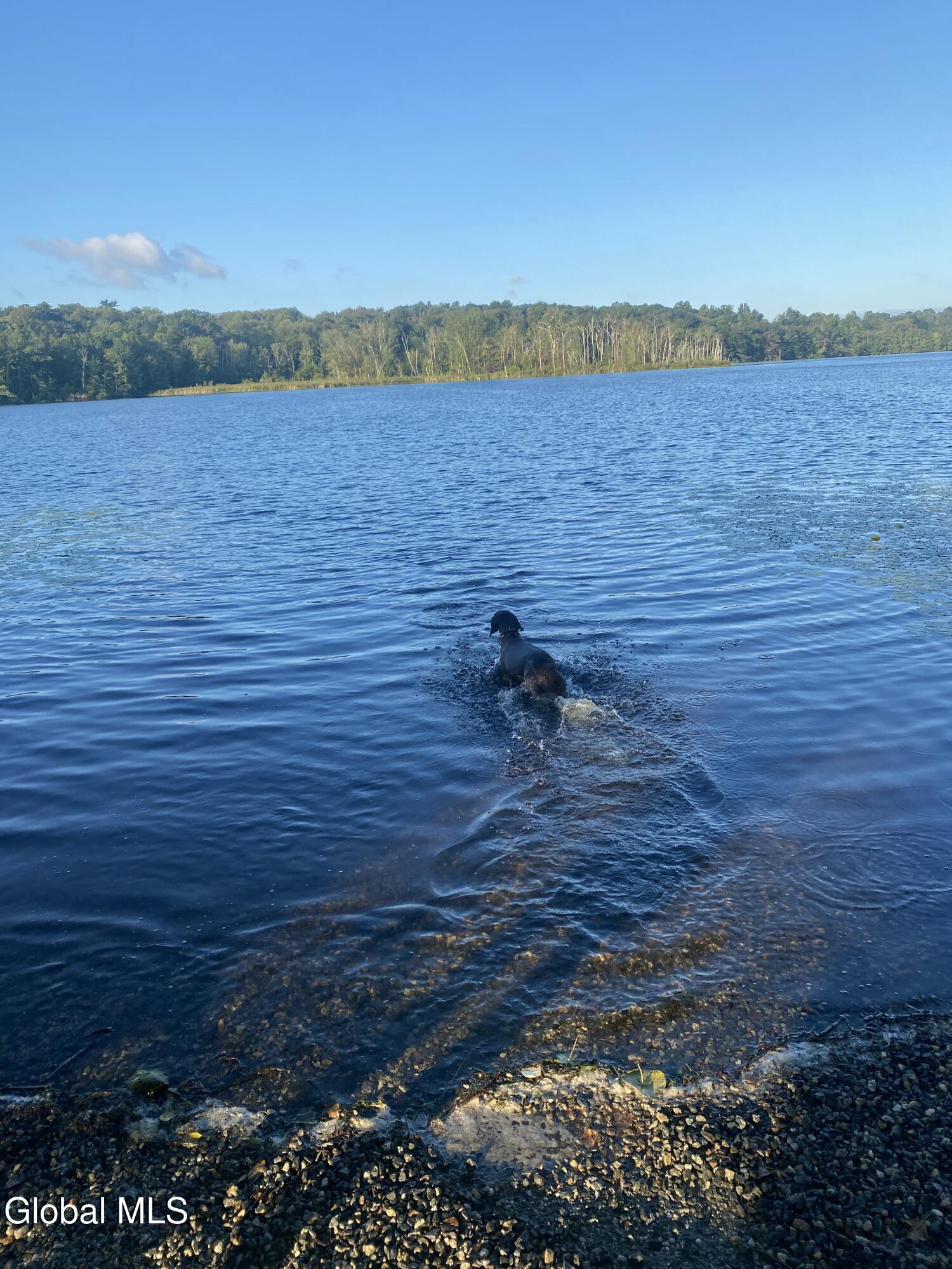 5297 State Route 30 Indian Lake NY 12842