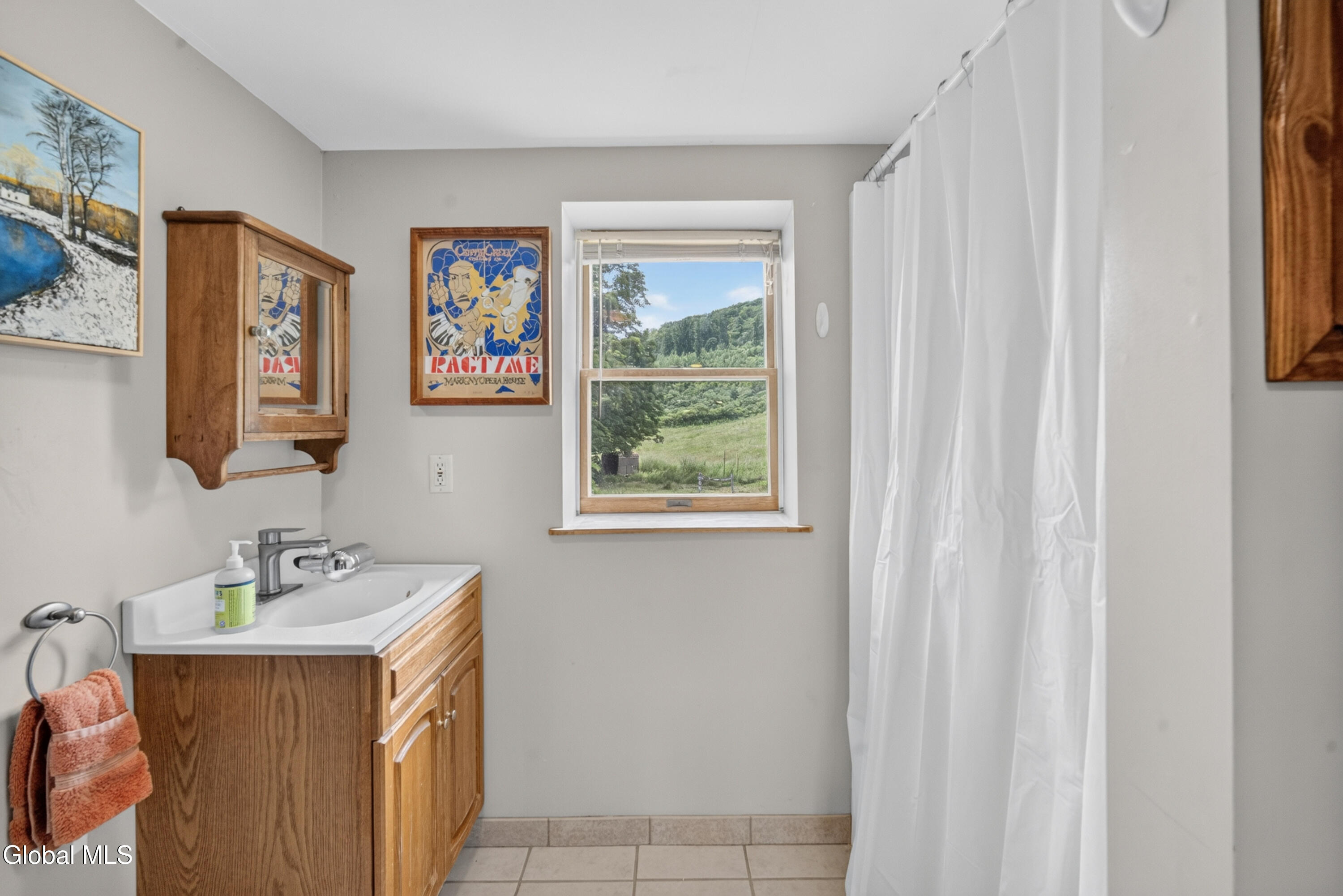 447 Chamberlin Mills Road Salem NY 12865
