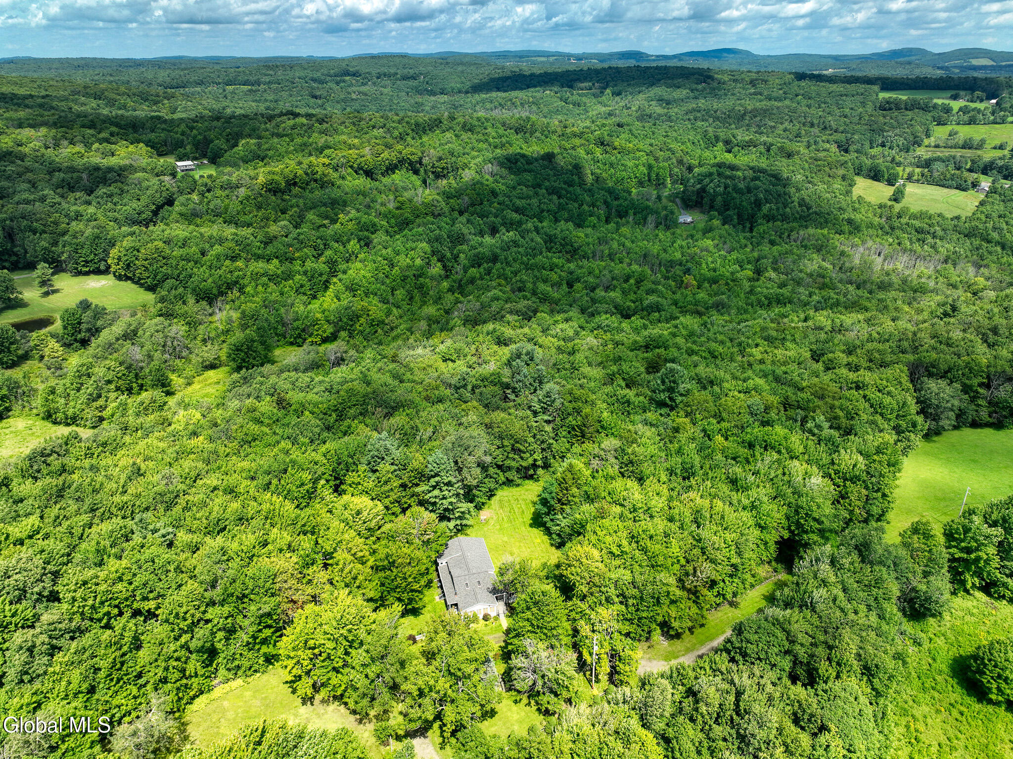 105 Fern Lane Jefferson NY 12093