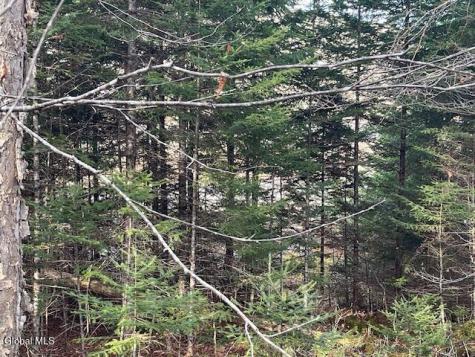 1884 Goodnow Flow Newcomb NY 12852
