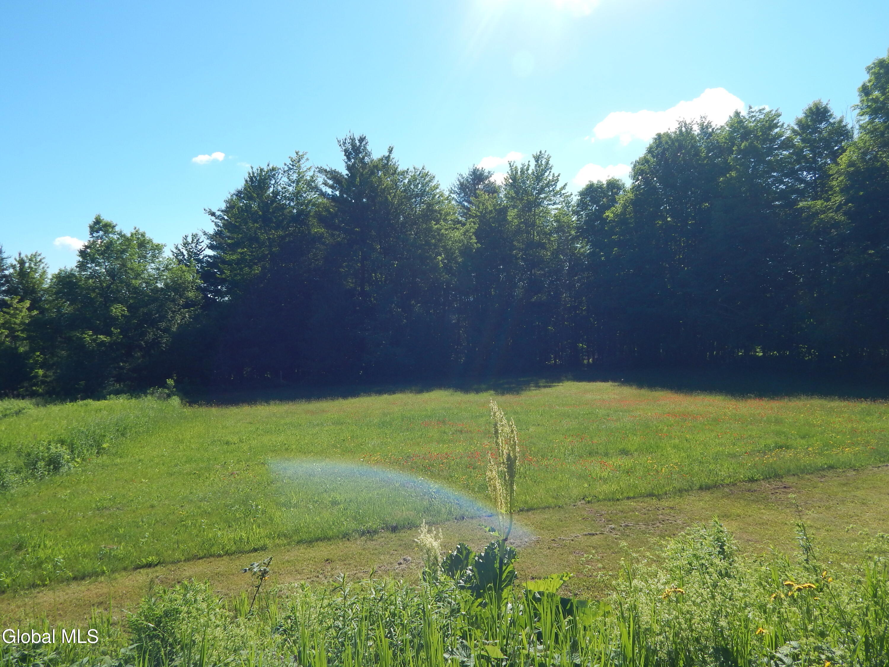 1632 Route 28 Minerva NY 12851
