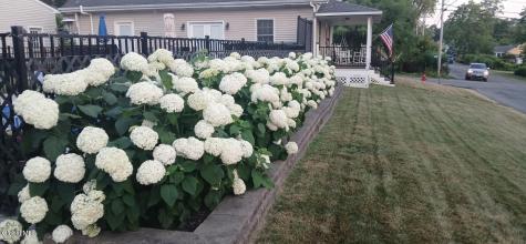 231 Summit Avenue Rensselaer NY 12144