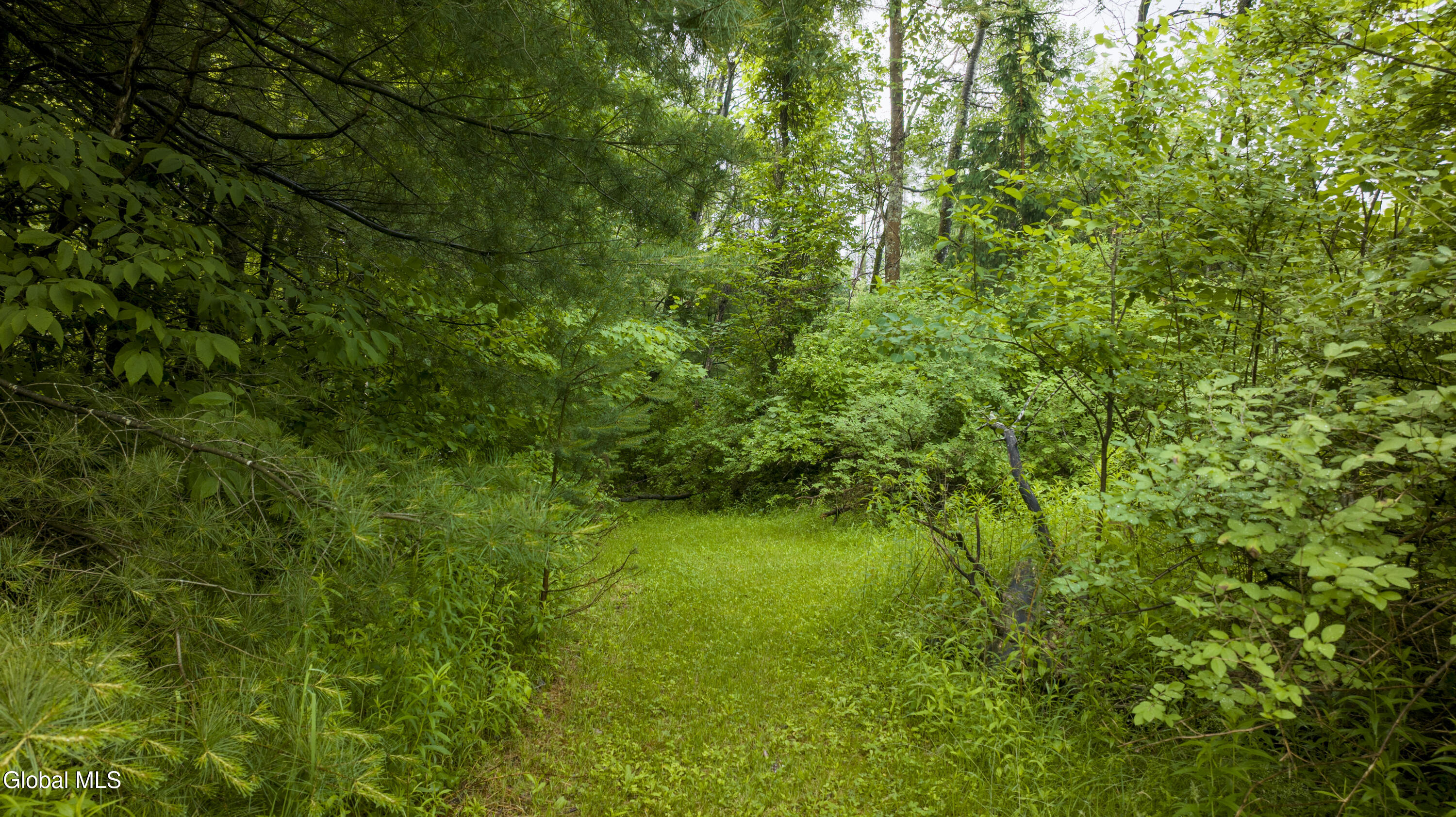 653 Coy Road Greenfield Center NY 12833