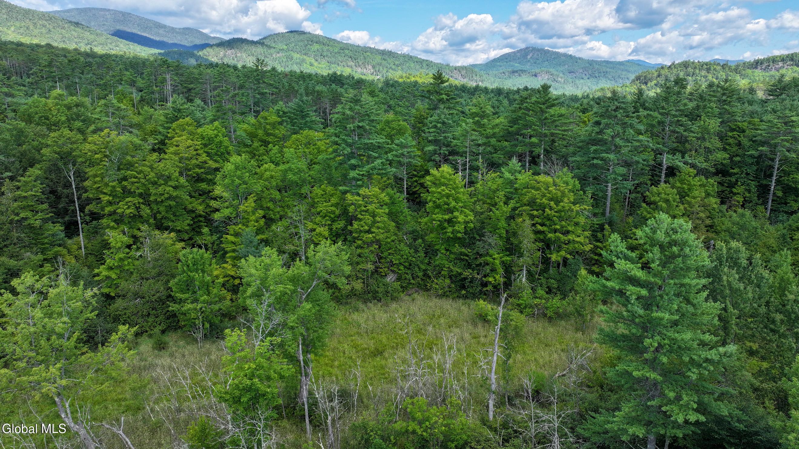 7 French Road Schroon Lake NY 12870