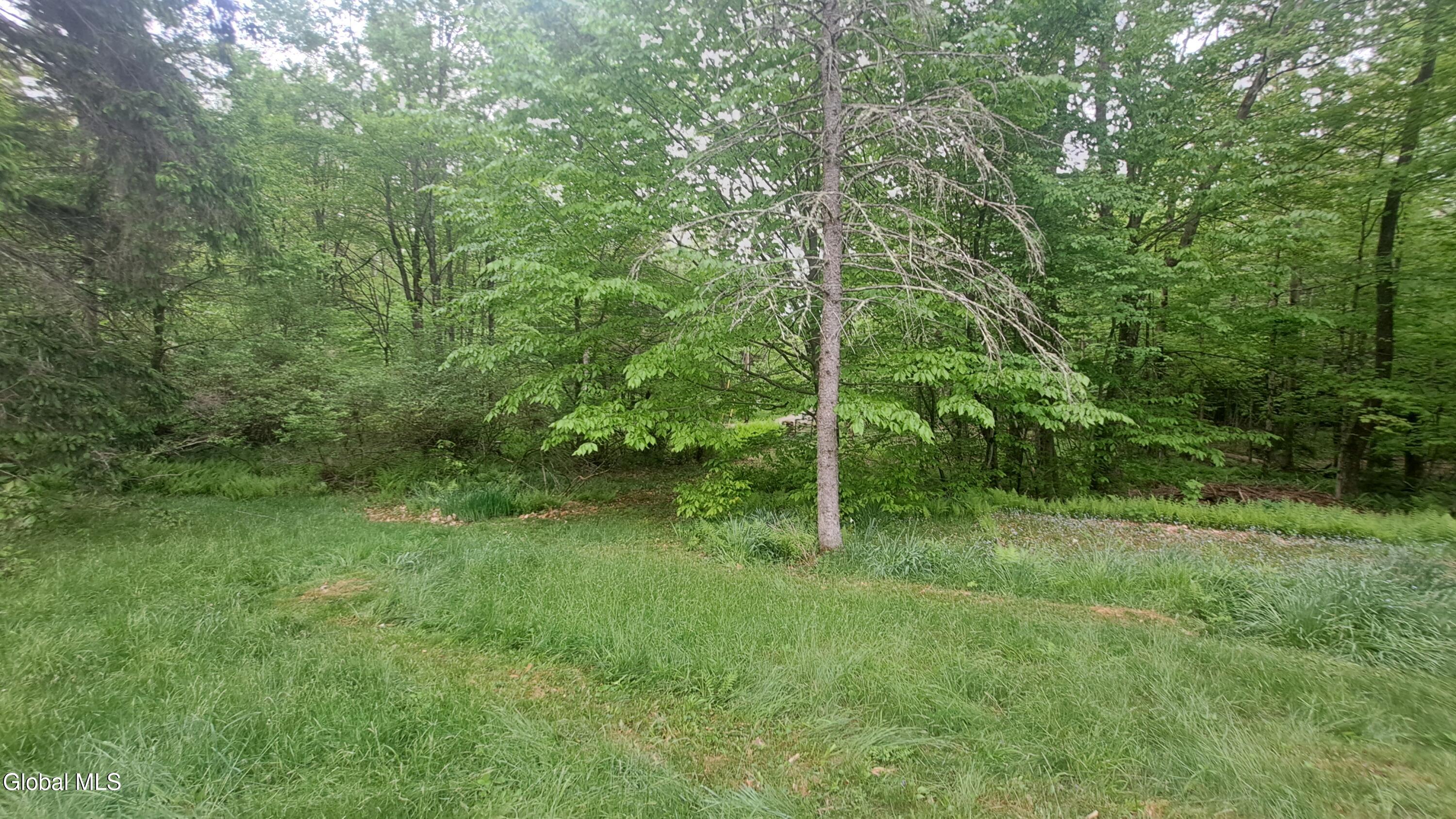 21 Longview Trail Sand Lake NY 12153