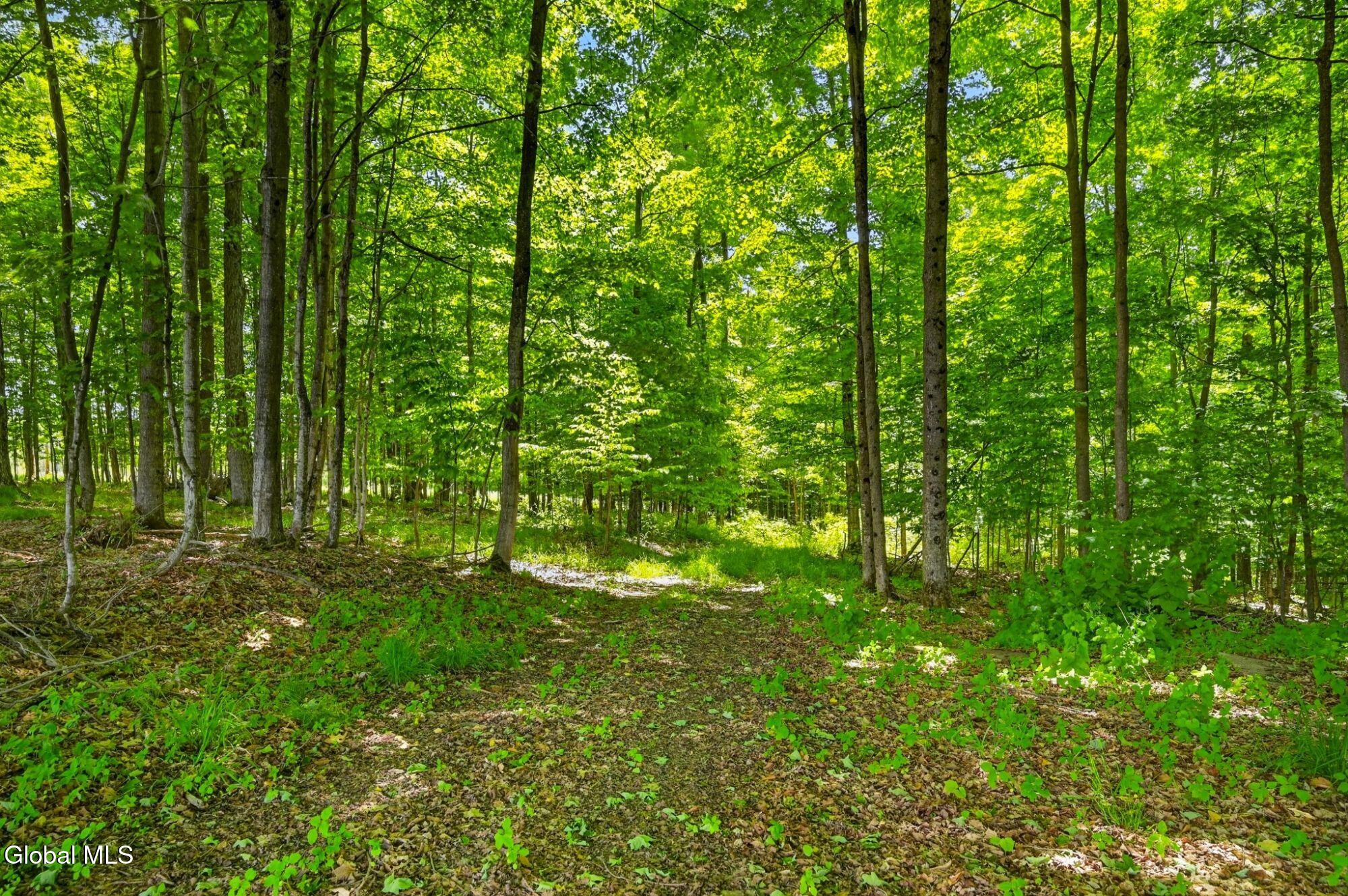 149 Andrews Road Sherburne NY 13460