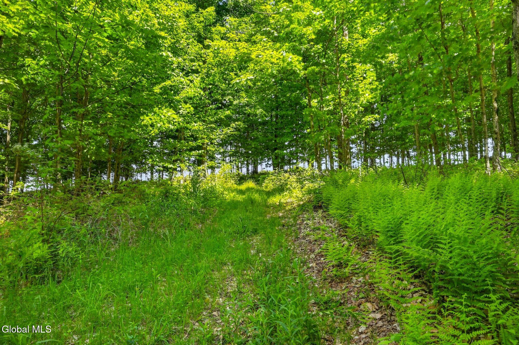 149 Andrews Road Sherburne NY 13460