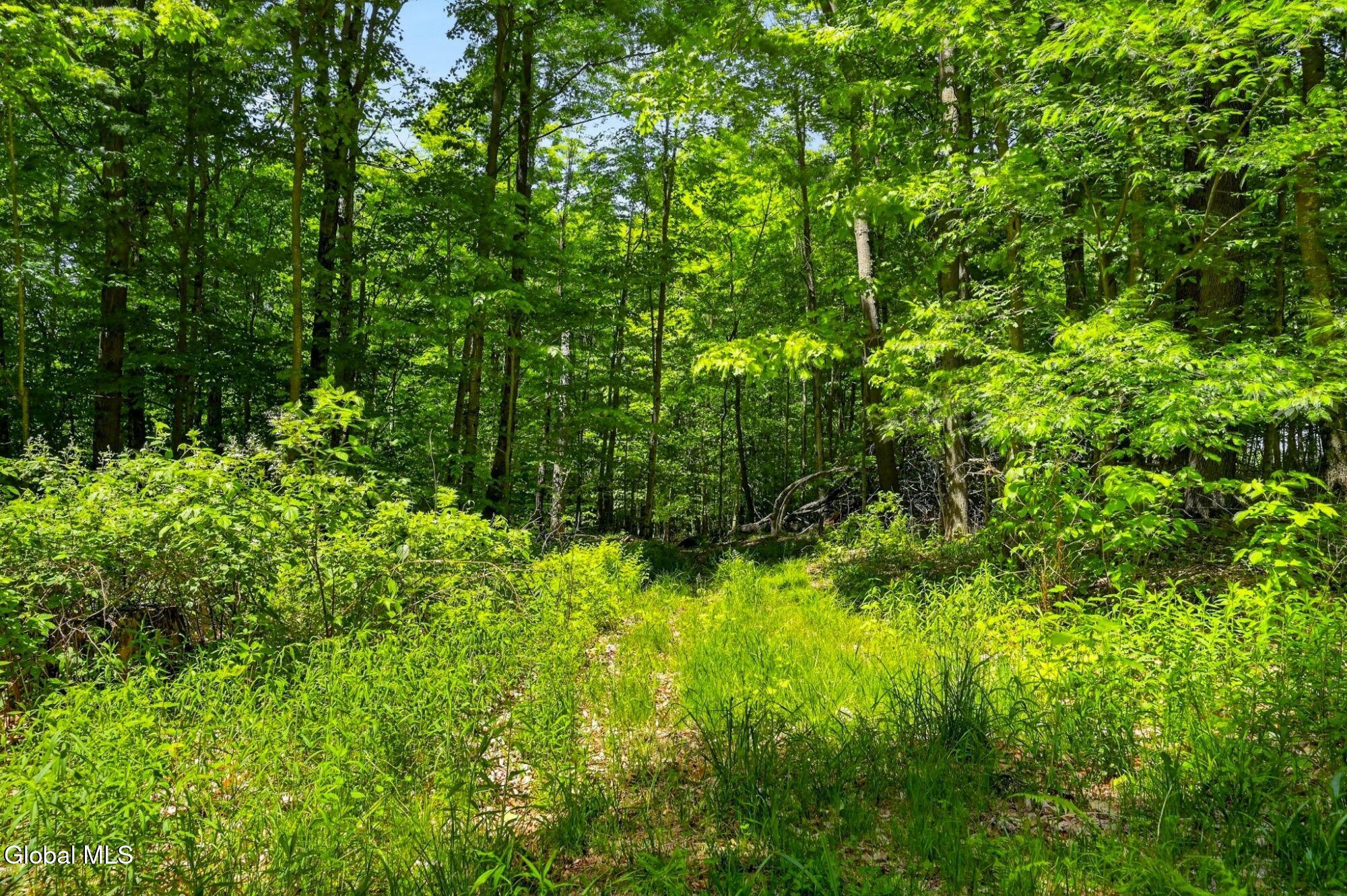 149 Andrews Road Sherburne NY 13460