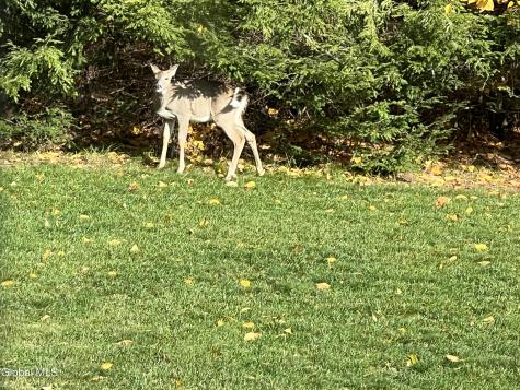 100 Stewart Bridge Road Hadley NY 12835