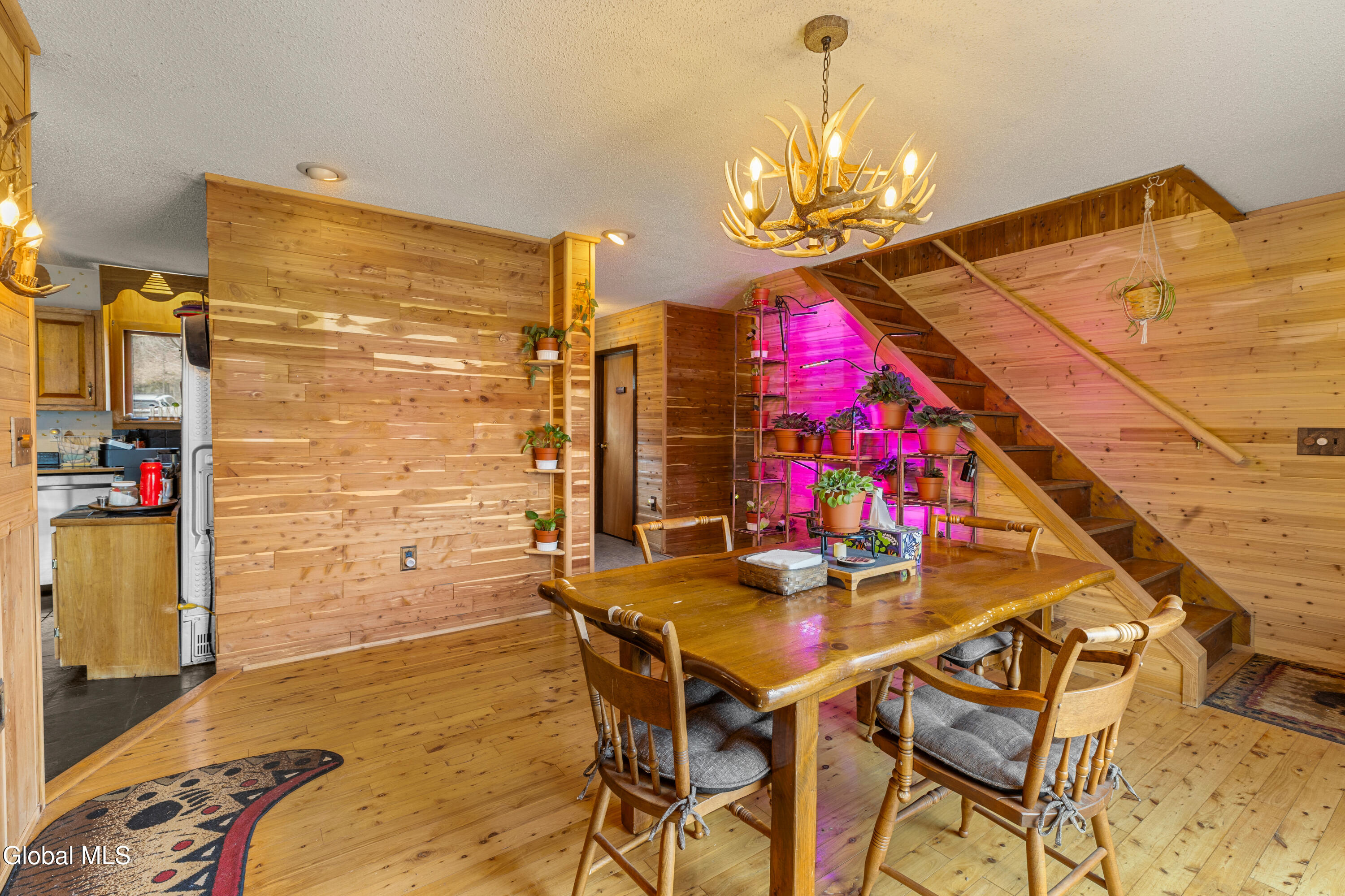 3 Maple Acres Way Dresden NY 12819