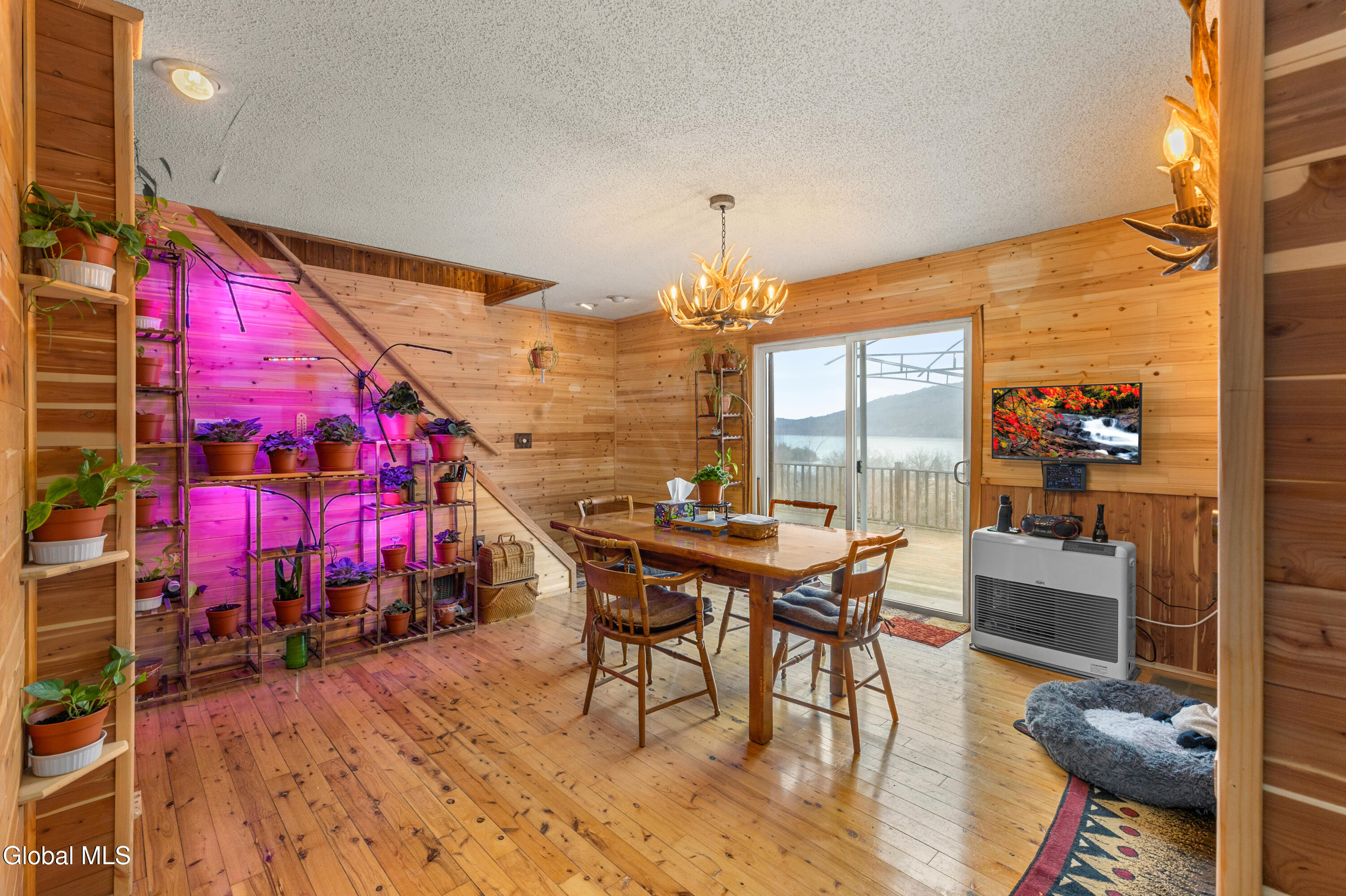 3 Maple Acres Way Dresden NY 12819