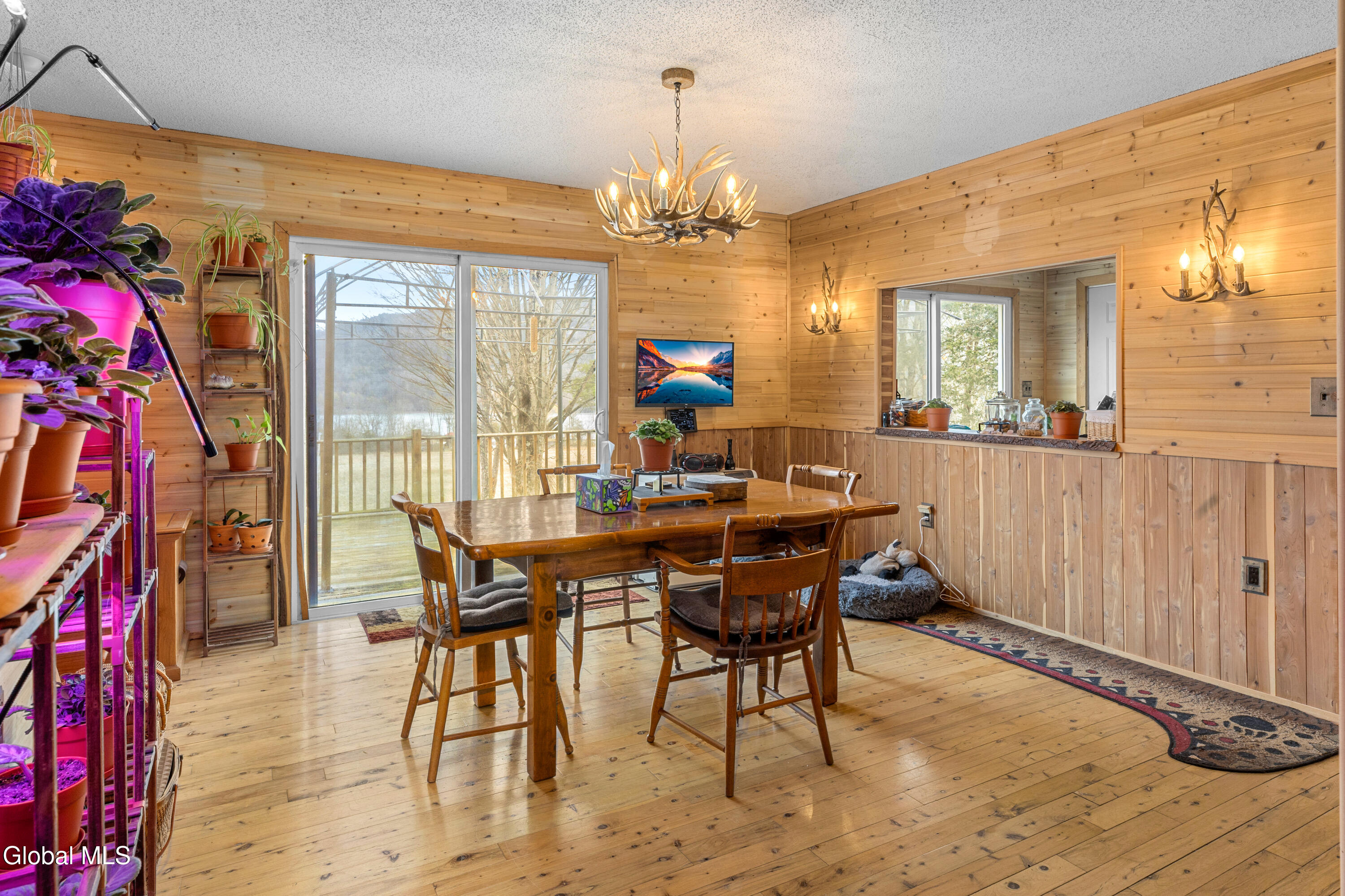 3 Maple Acres Way Dresden NY 12819