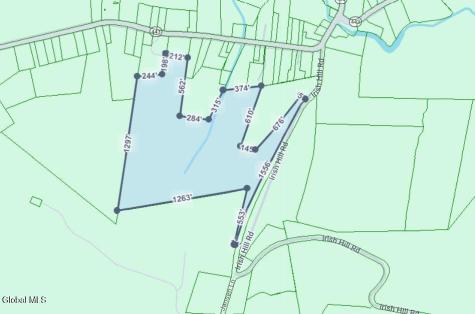 727 Irish Hill Road Berne NY 12023
