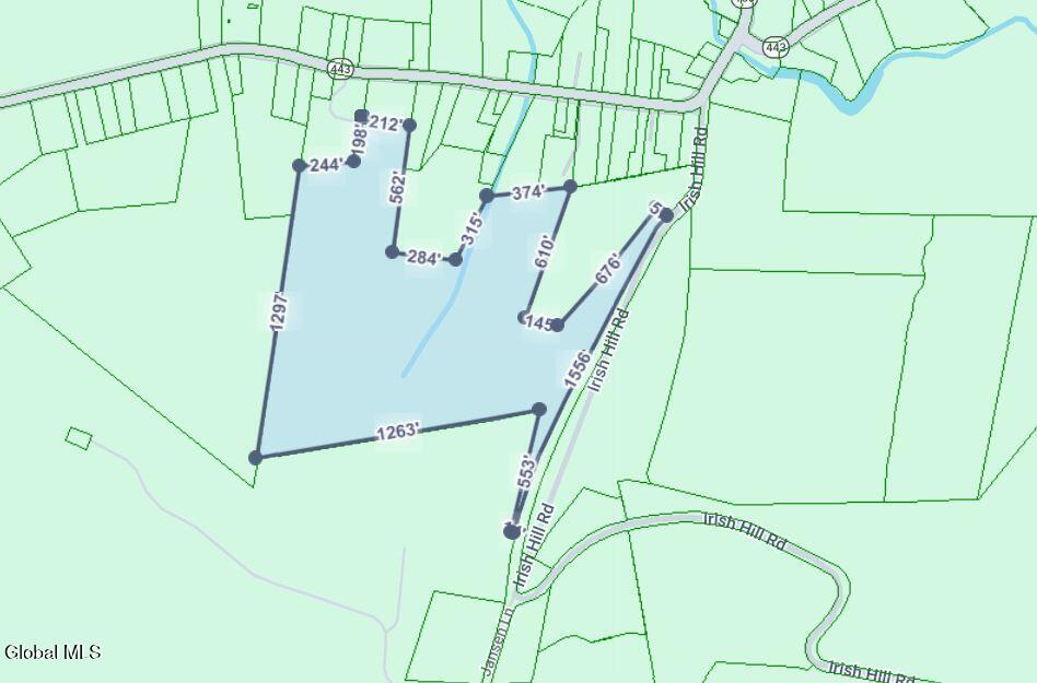 727 Irish Hill Road Berne NY 12023