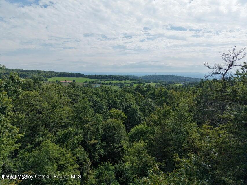 300 Hinrichsen Heights Road Coxsackie NY 12051
