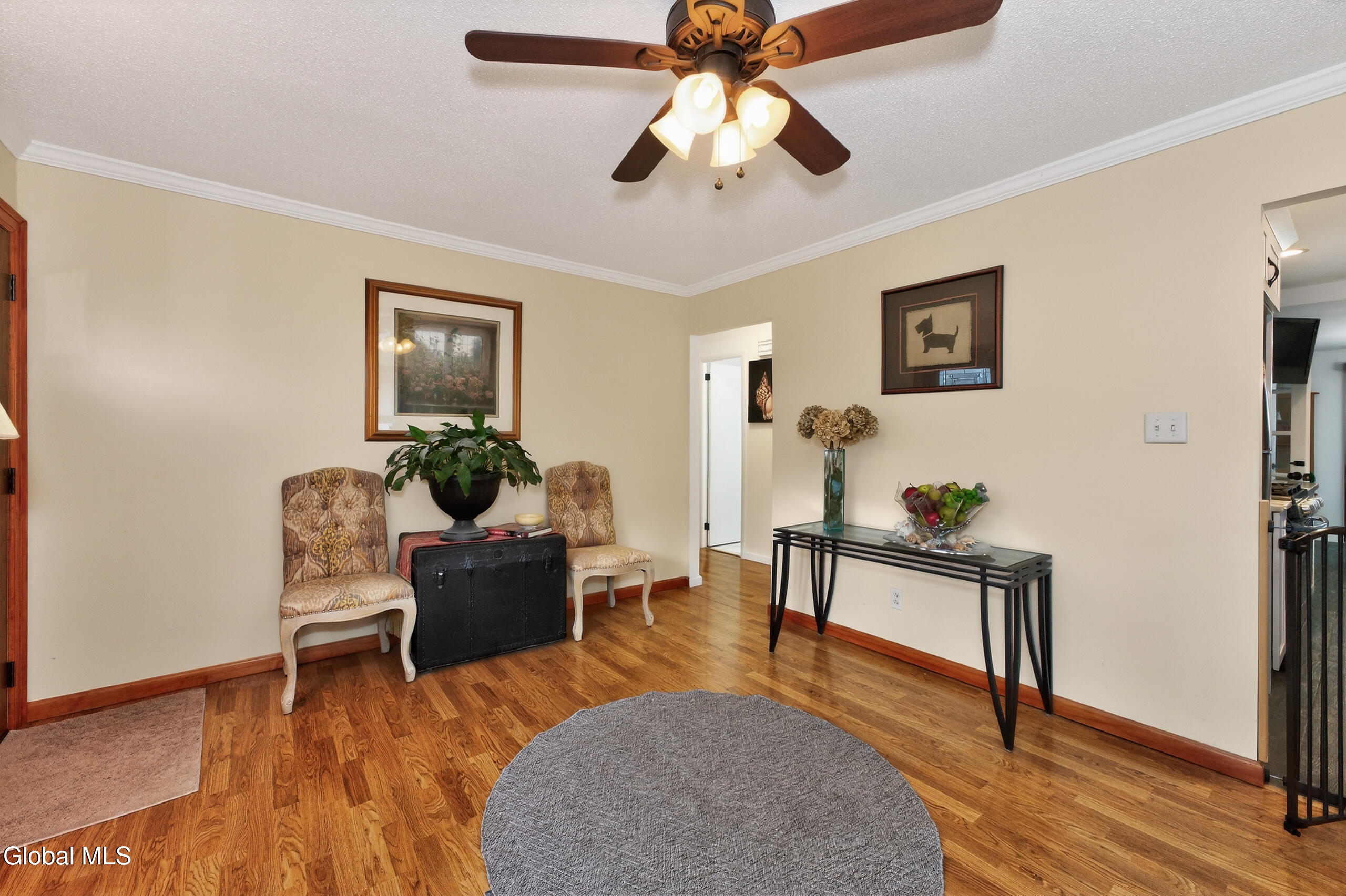 41 Vics Court Albany NY 12205