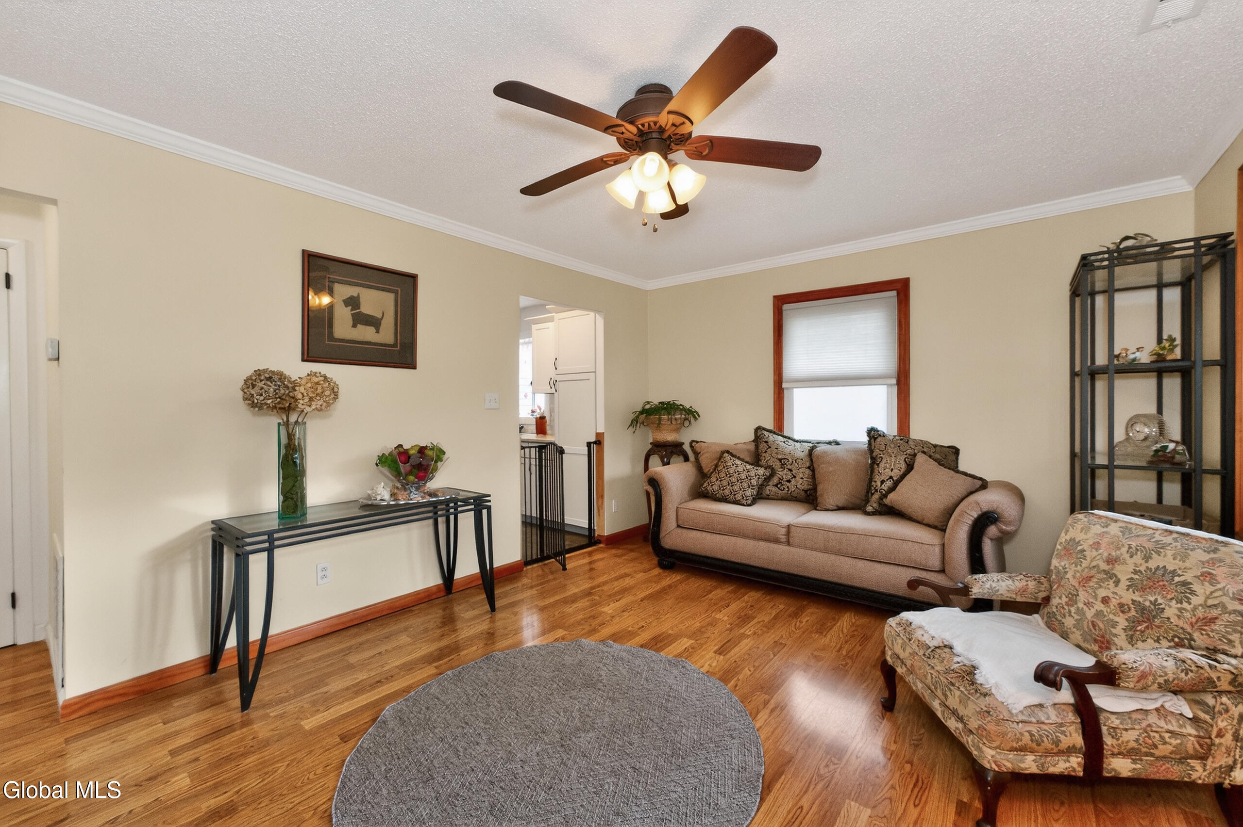 41 Vics Court Albany NY 12205