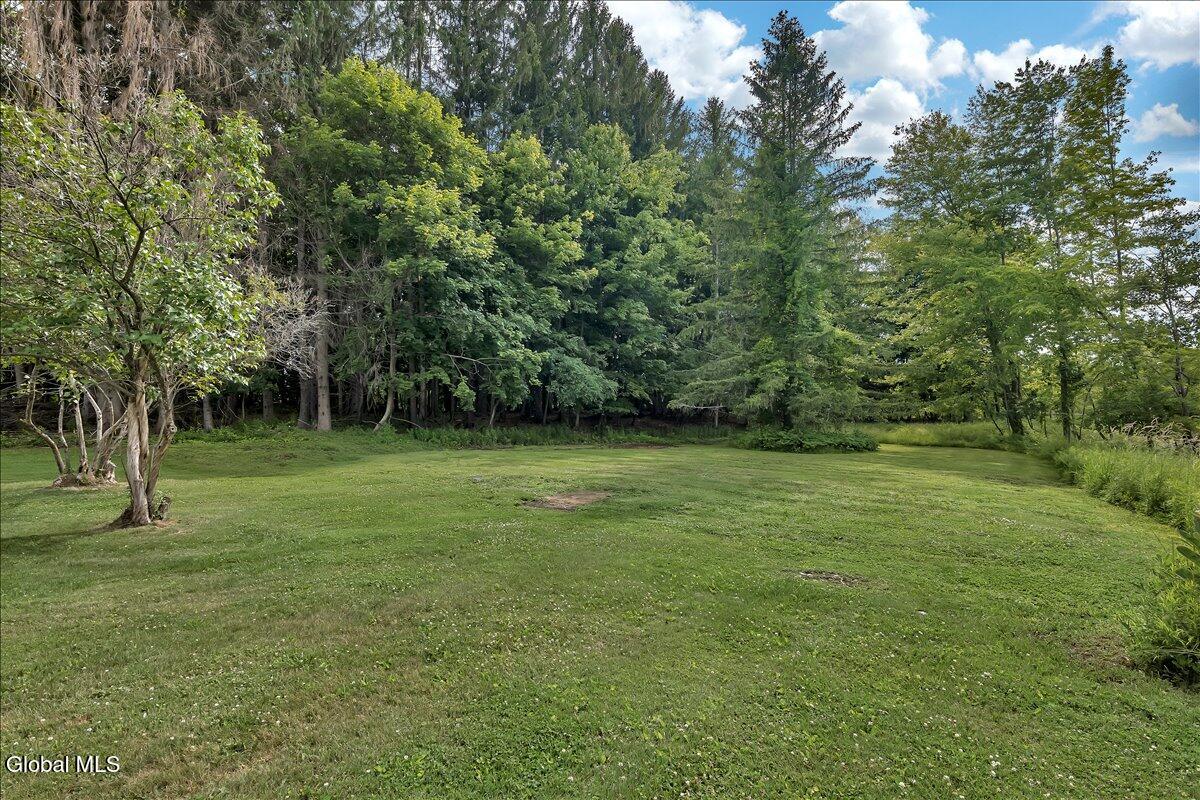 19 Cobb Hill Road West Sand Lake NY 12196