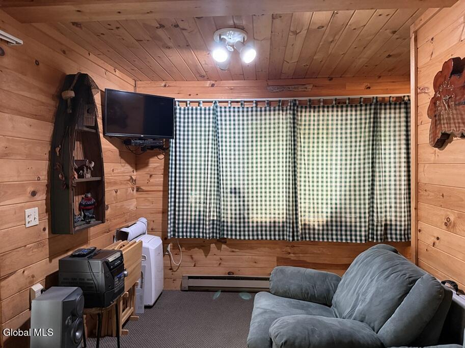 213 Adirondack Road Adirondack NY 12870