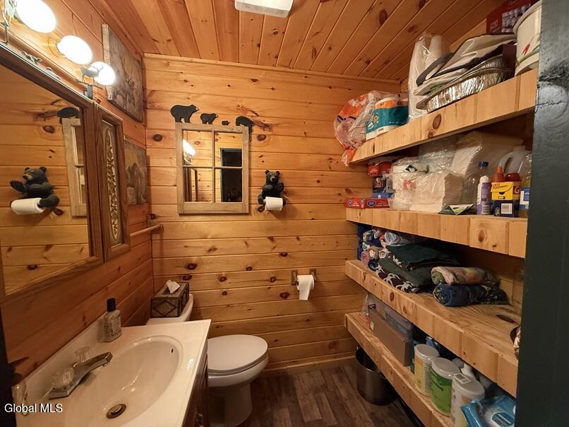 213 Adirondack Road Adirondack NY 12870