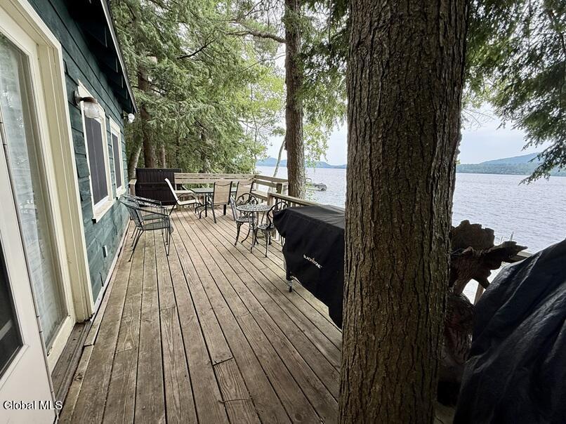 213 Adirondack Road Adirondack NY 12870