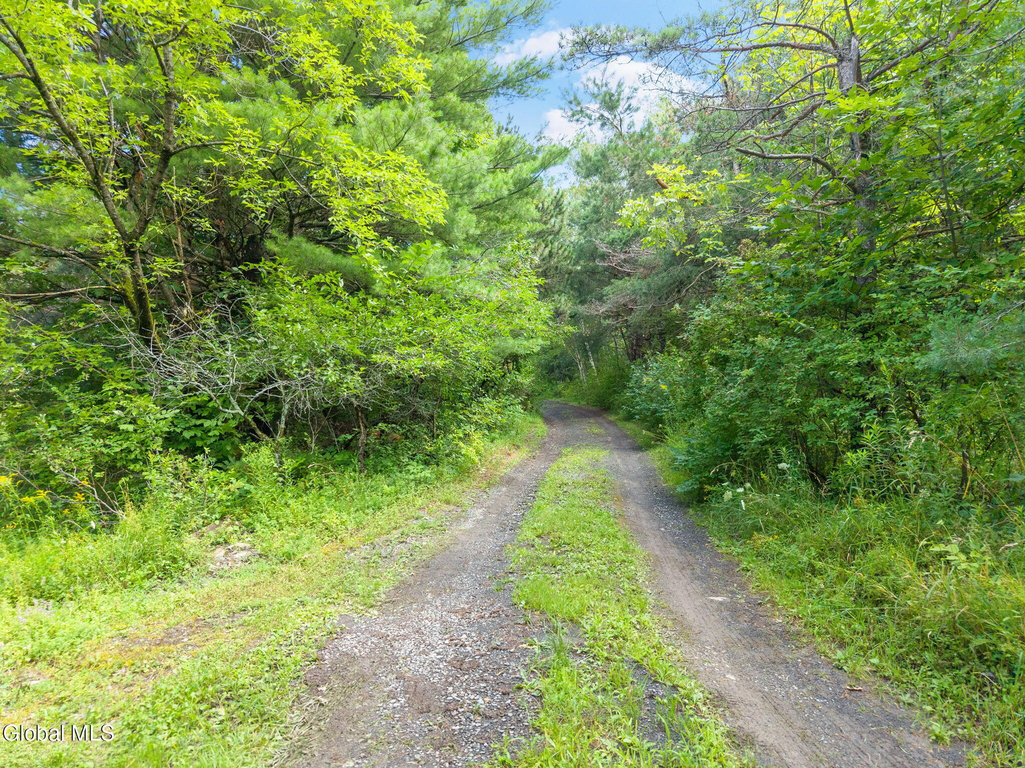 121 Himmel Lane Richmondville NY 12149
