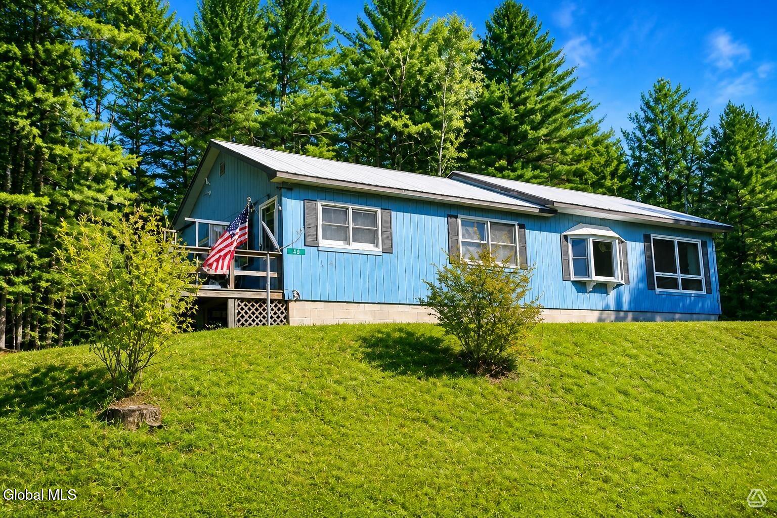 14 Irishtown Road Minerva NY 12857