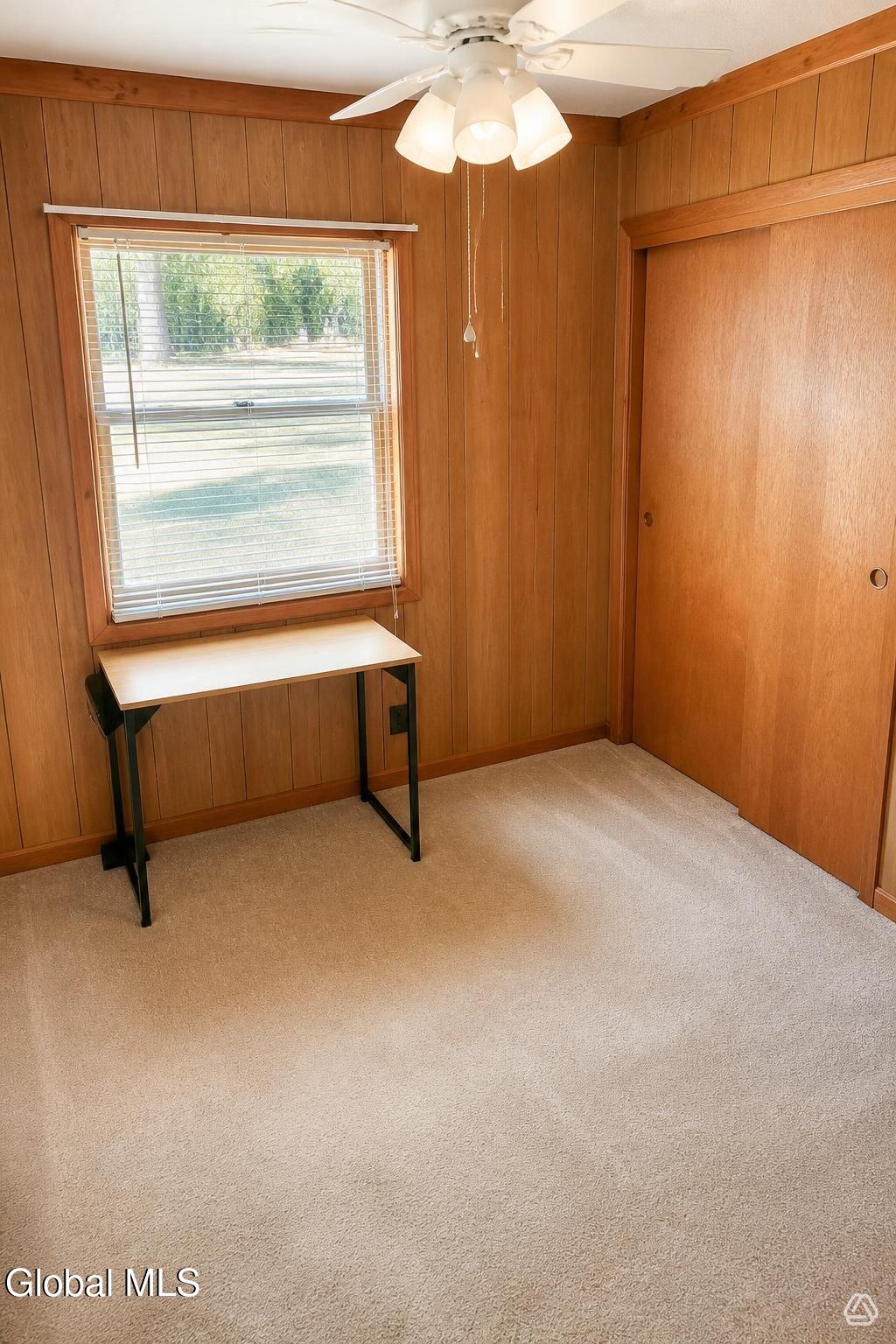 14 Irishtown Road Minerva NY 12857