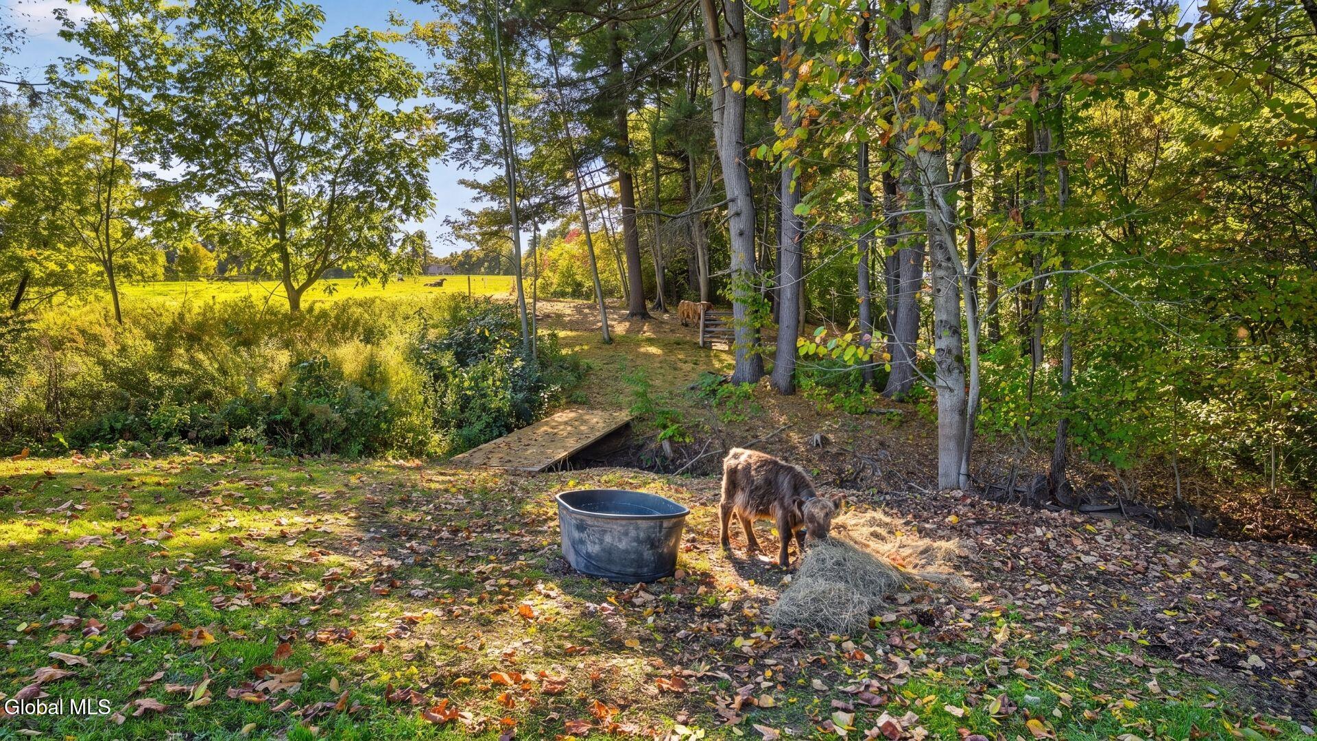 231 Sanders Road Fort Plain NY 13339
