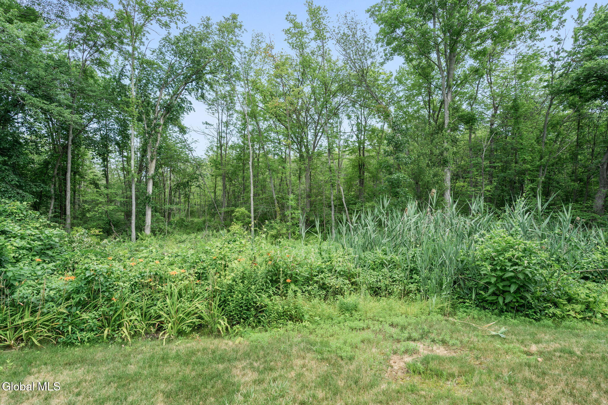 4 Carlyle Court Ballston Lake NY 12019