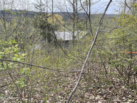 523 Enders Avenue Howes Cave NY 12092