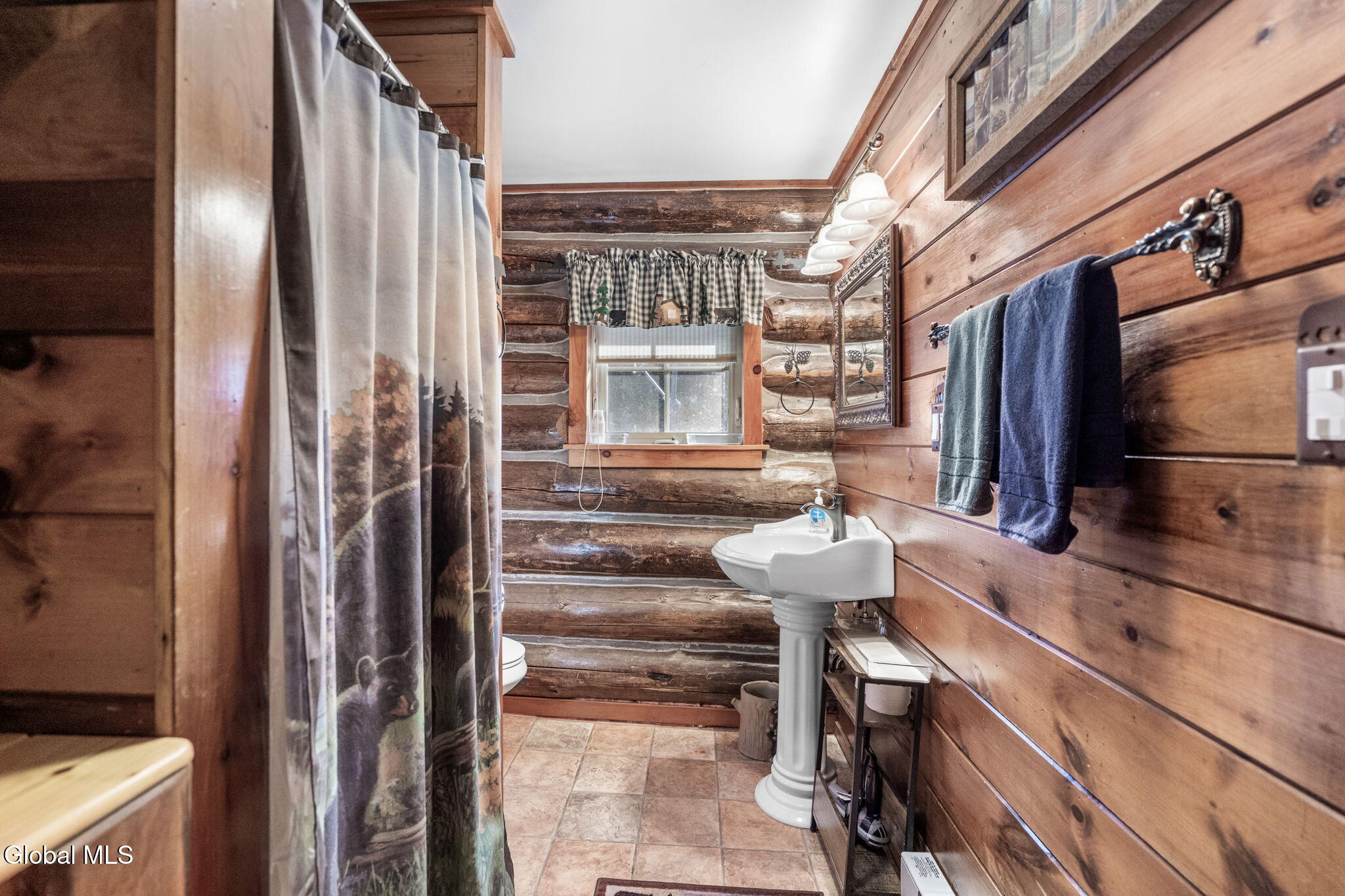 16 Riley Hill Road Stoney Creek NY 12878