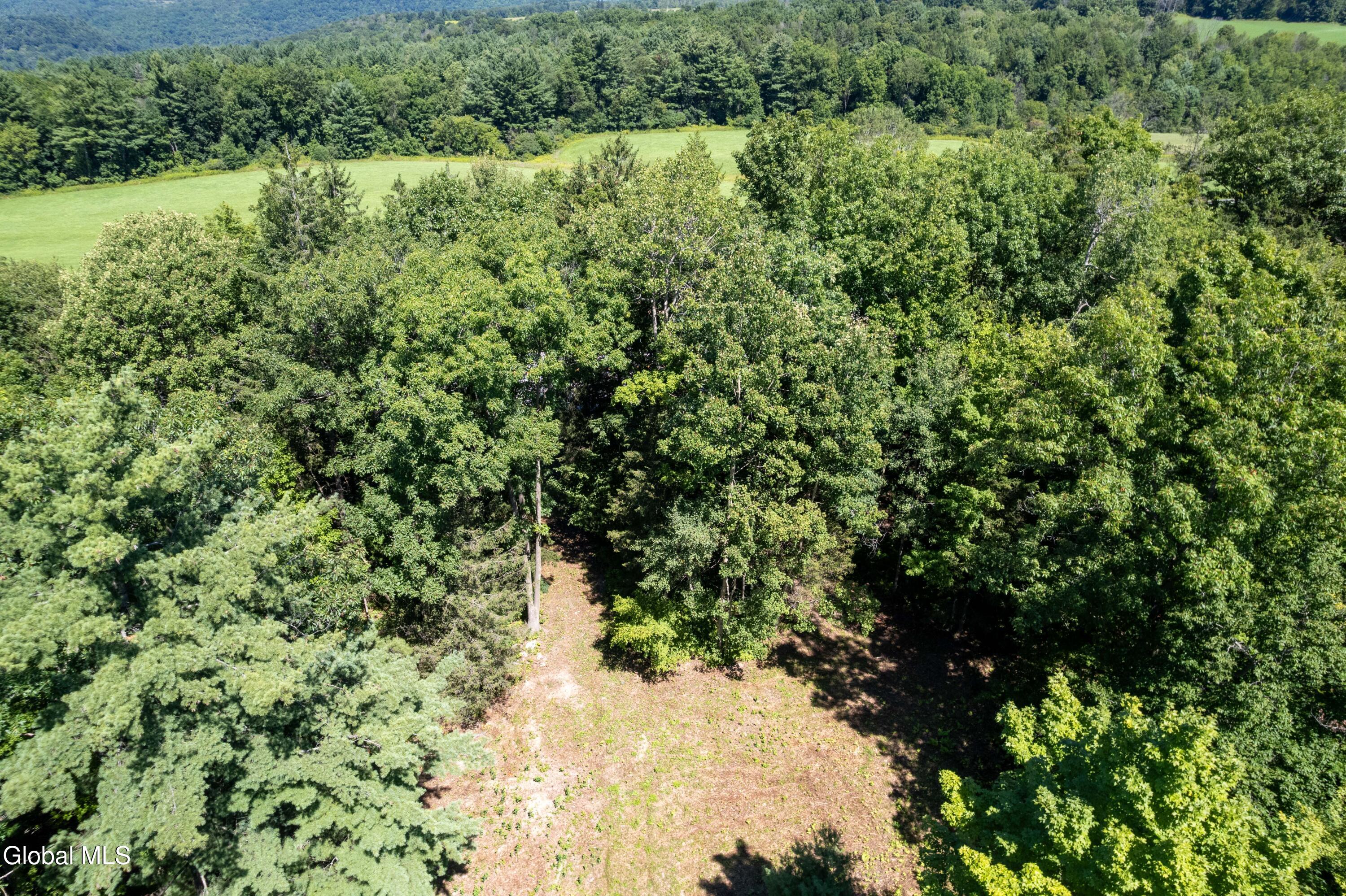 106 Hilltop Road Sprakers NY 12166