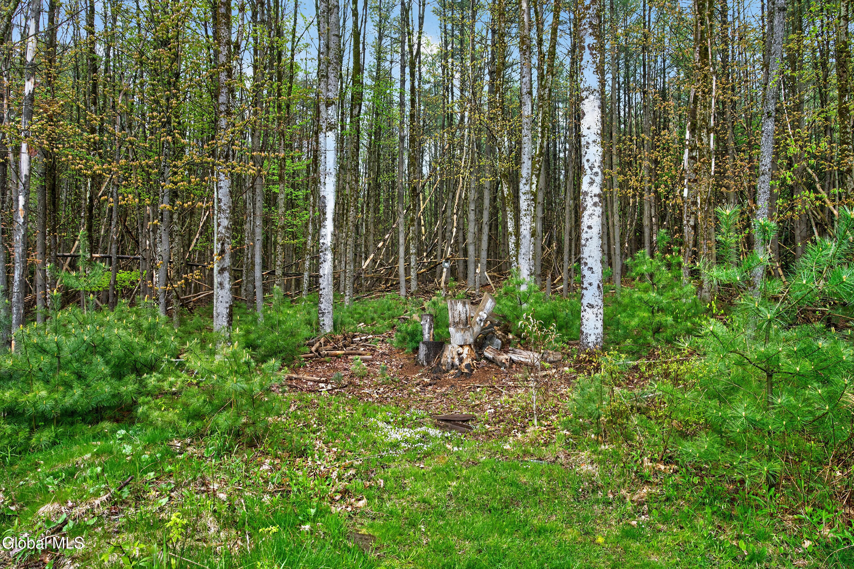 654 County Highway 138 Broadalbin NY 12025
