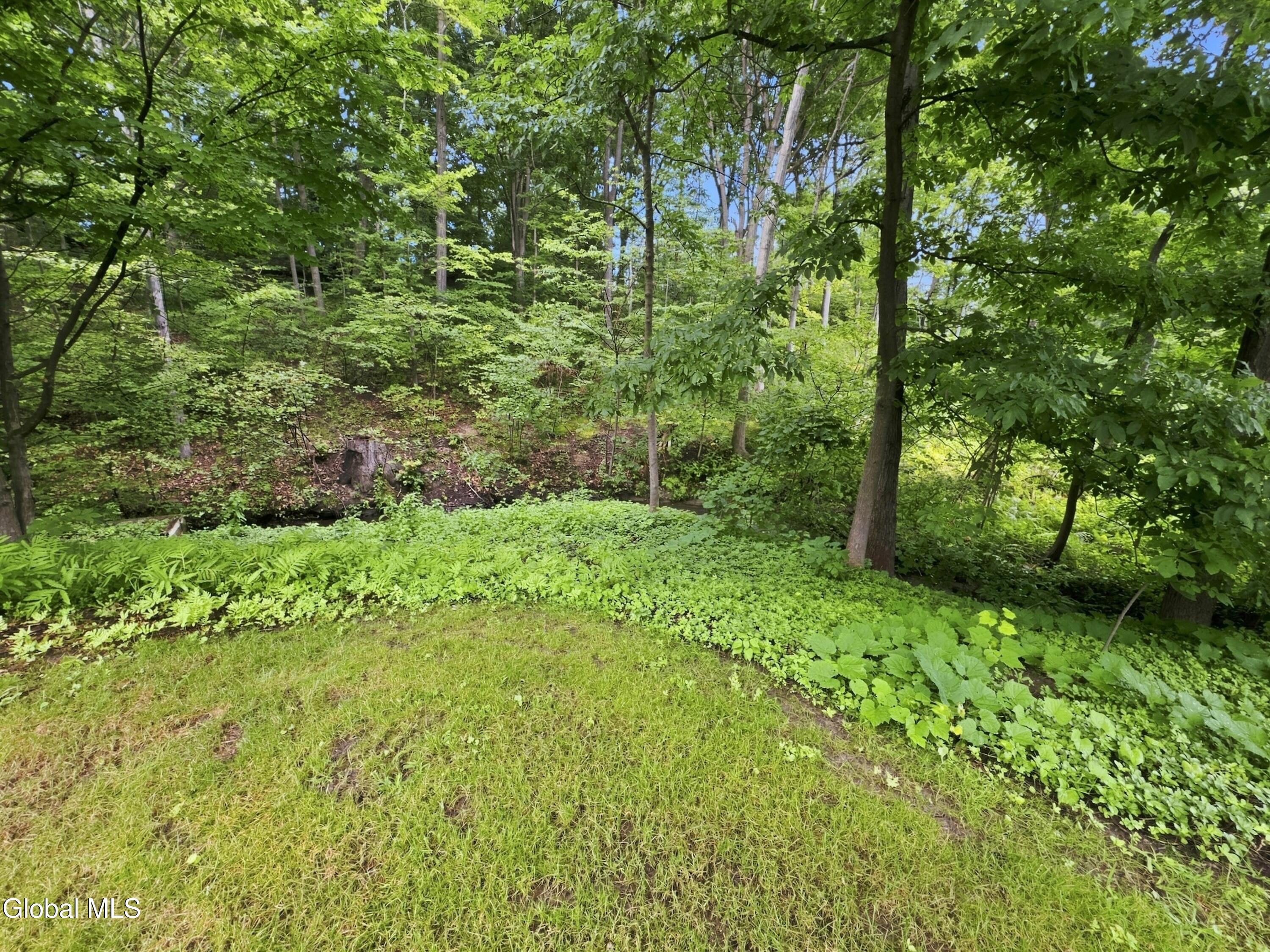 7 Macaffer Drive Menands NY 12204