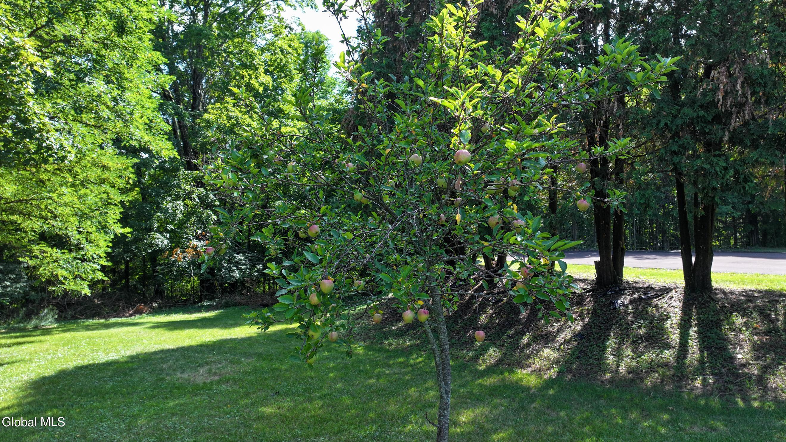 62 Fitzgerald Road Hague NY 12836