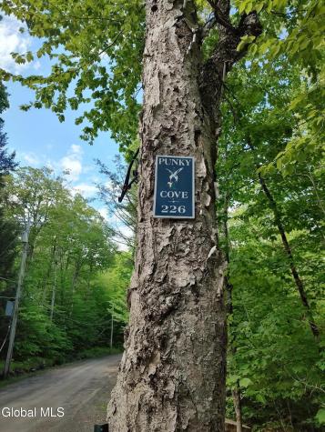 226 Sand Point Road Canada Lake NY 12032