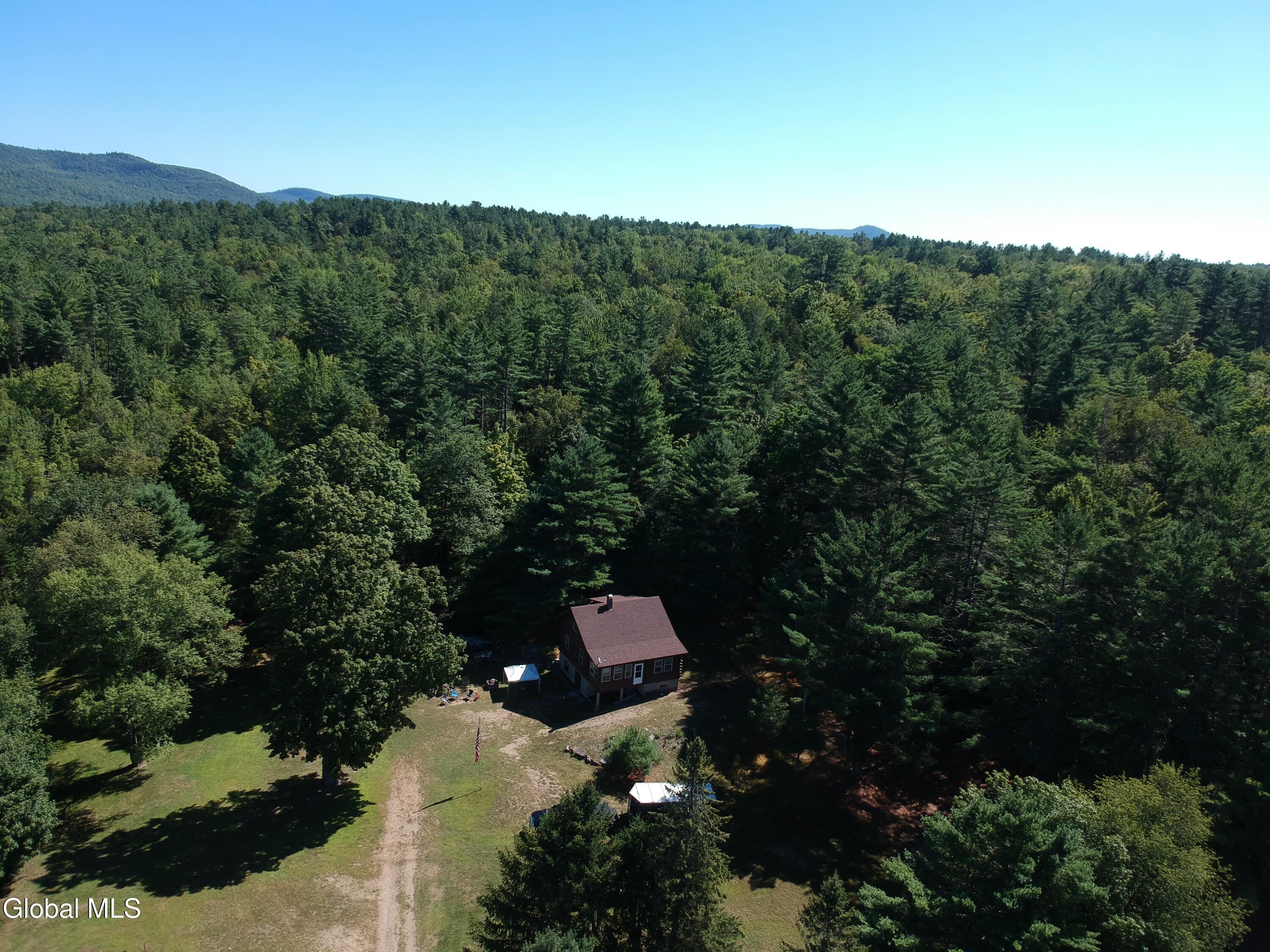 1158 Route 28n Olmstedville NY 12857