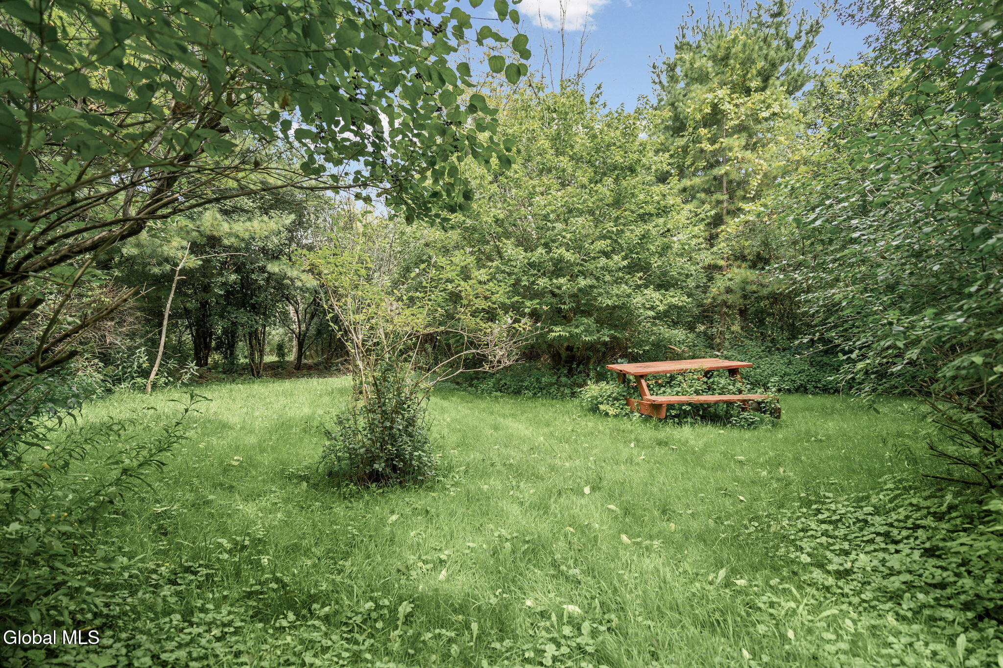 1167 Meadowdale Road Altamont NY 12009