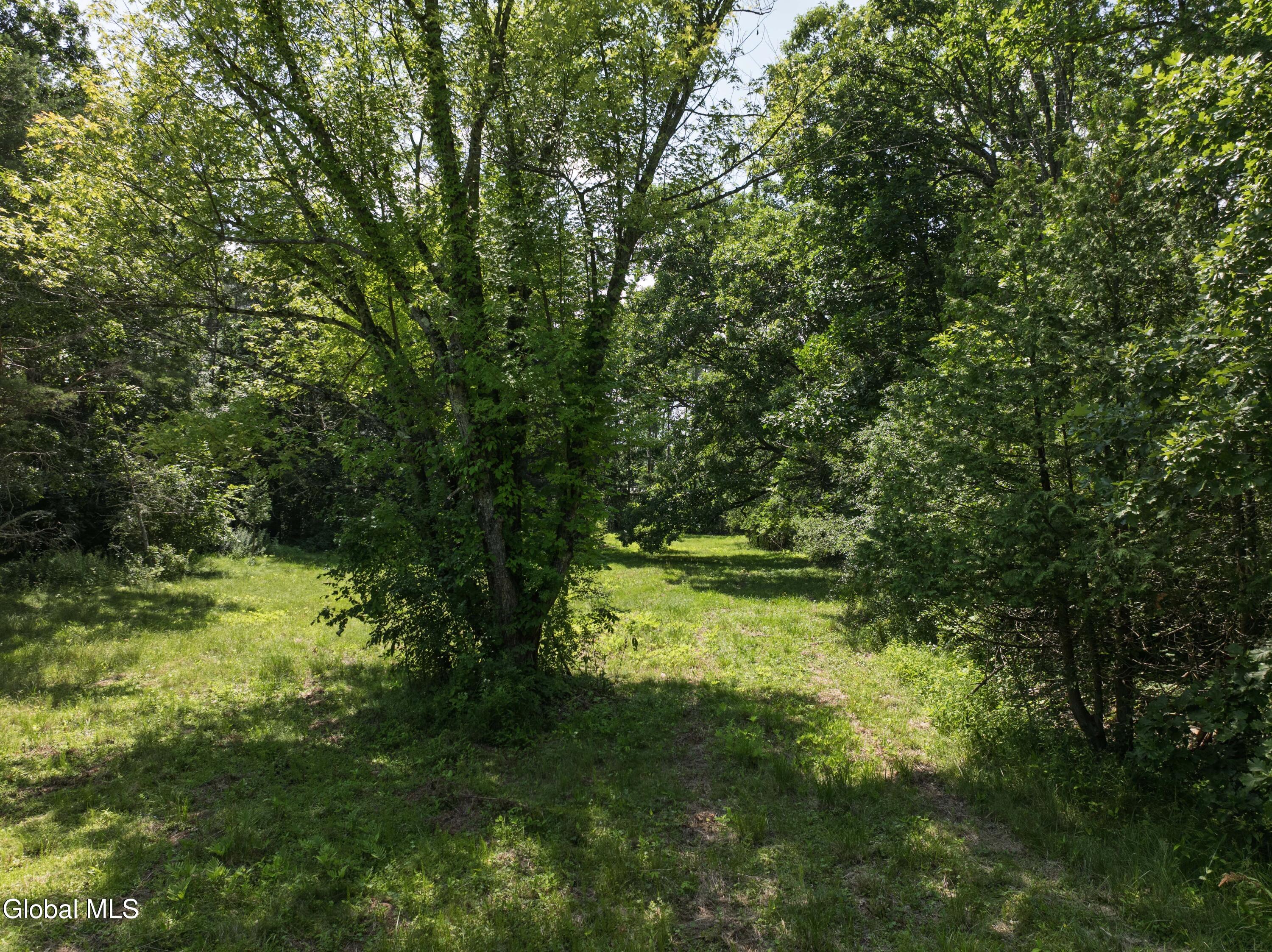 1211 Saratoga Road Ballston Spa NY 12020