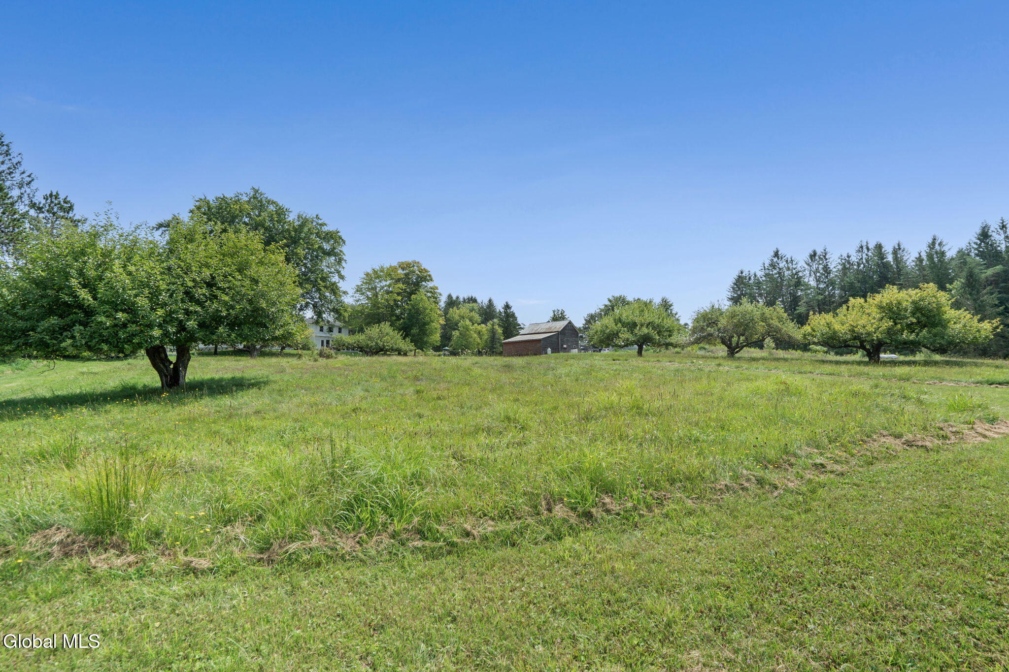 561 Mcguire School Road Delanson NY 12053