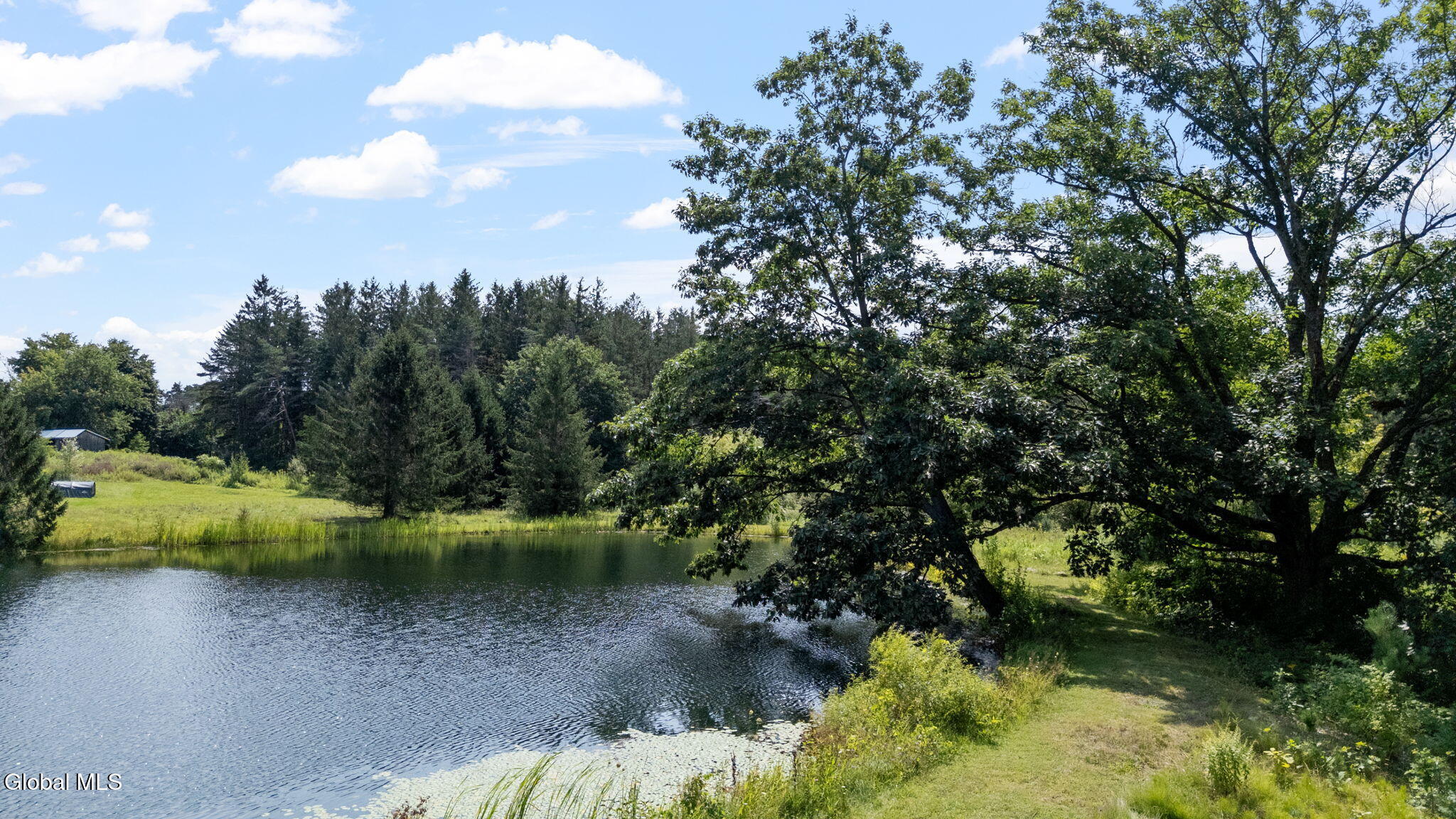 561 Mcguire School Road Delanson NY 12053