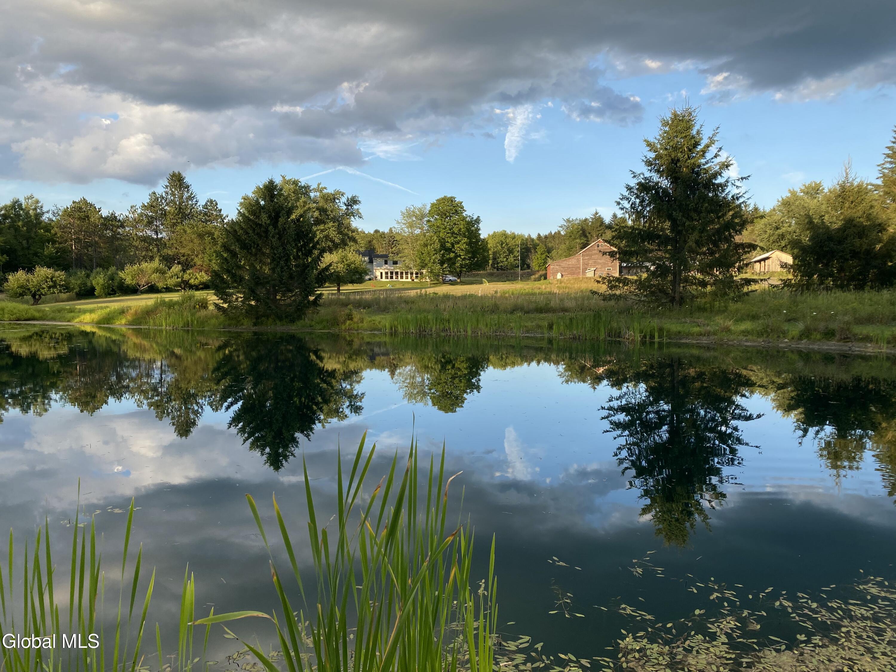 561 Mcguire School Road Delanson NY 12053