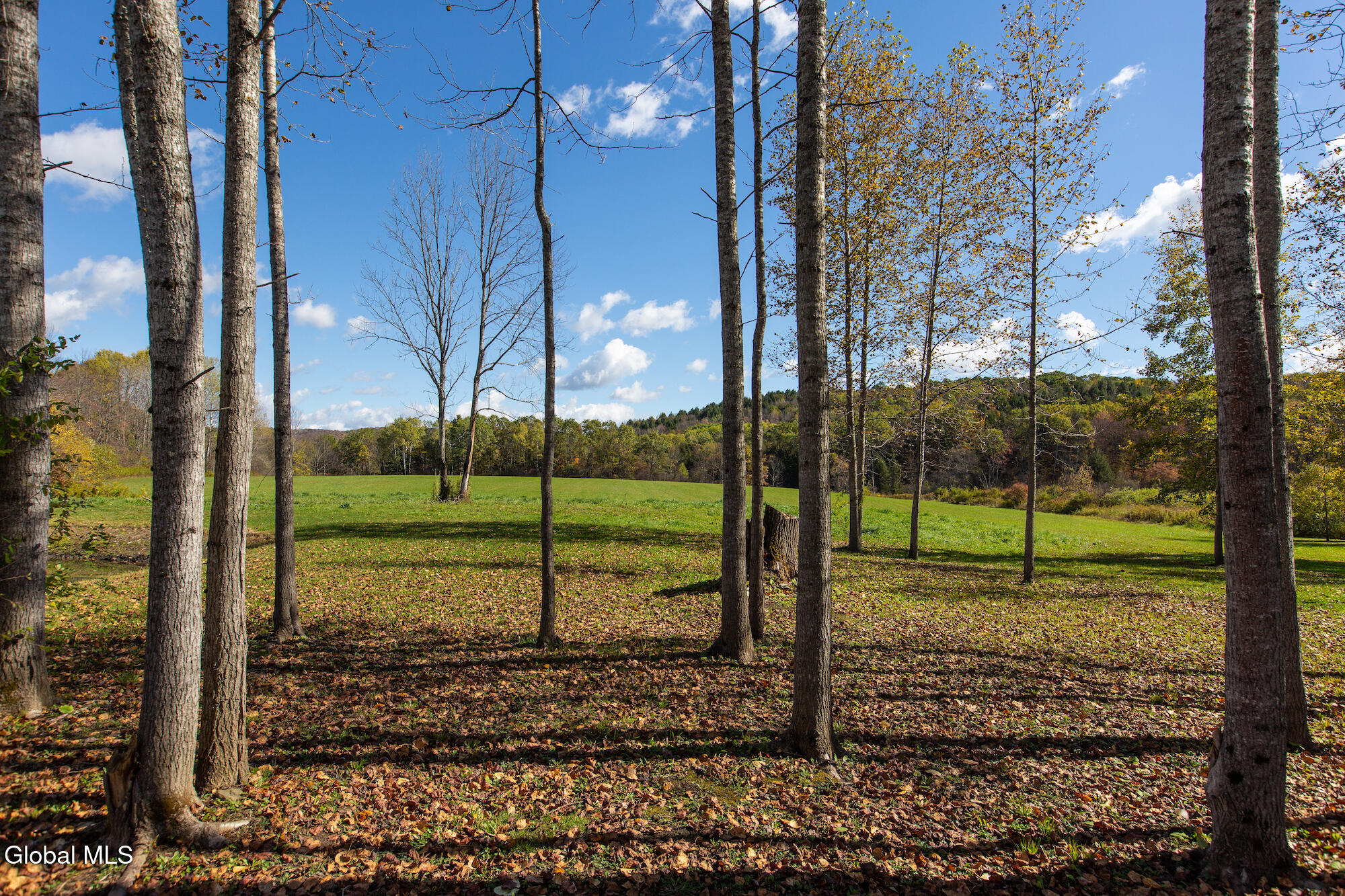 380 Raymond Fish Road Hartwick NY 13348