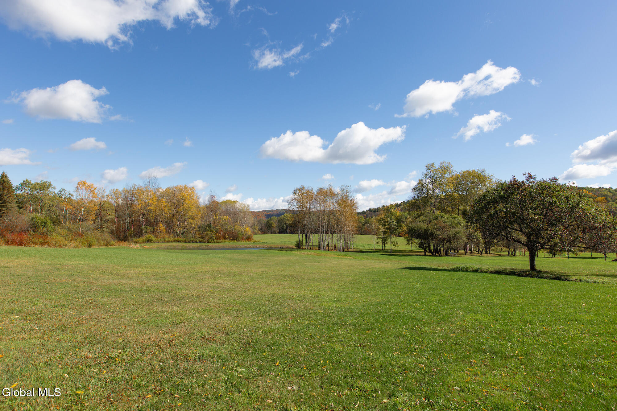 380 Raymond Fish Road Hartwick NY 13348