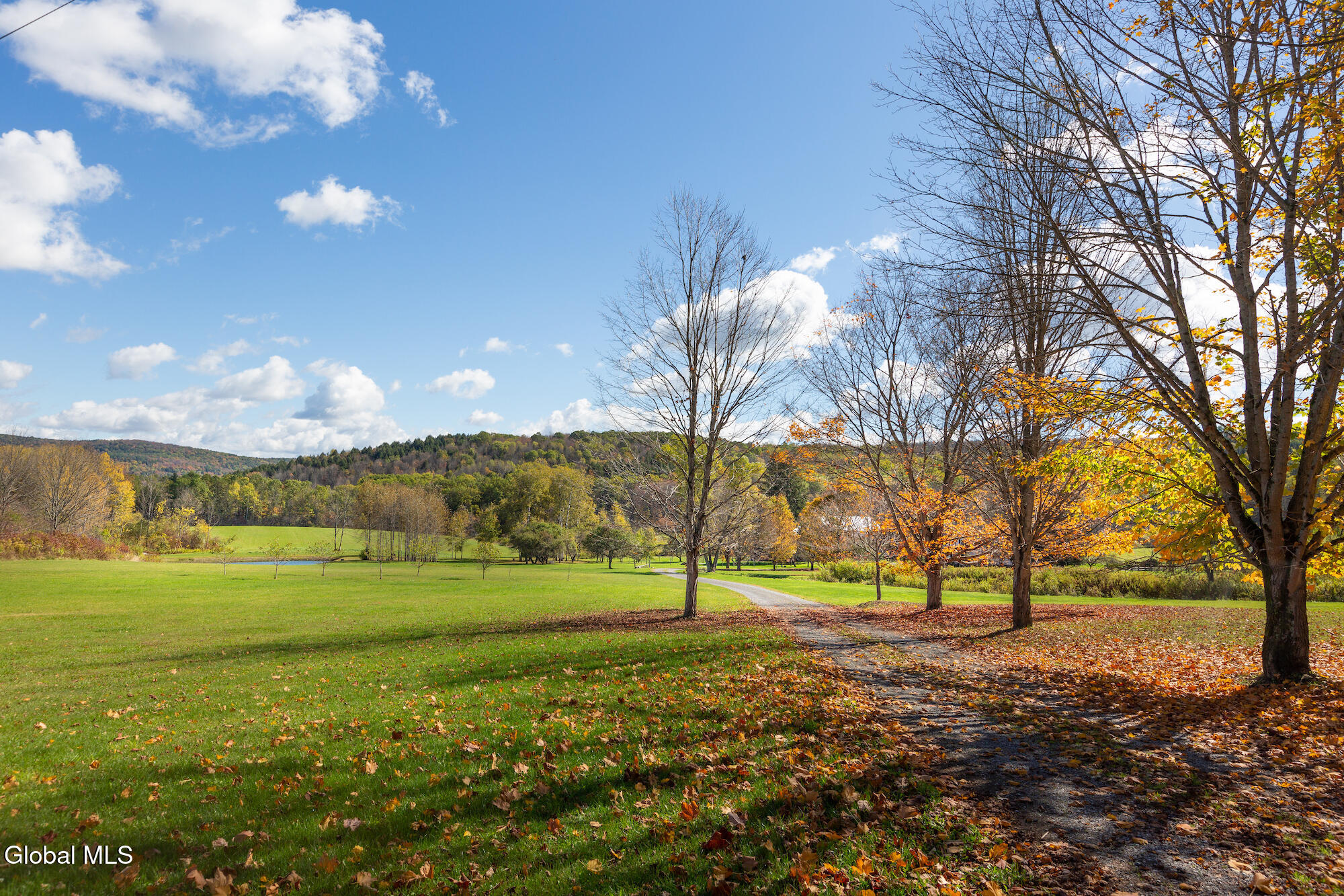 380 Raymond Fish Road Hartwick NY 13348