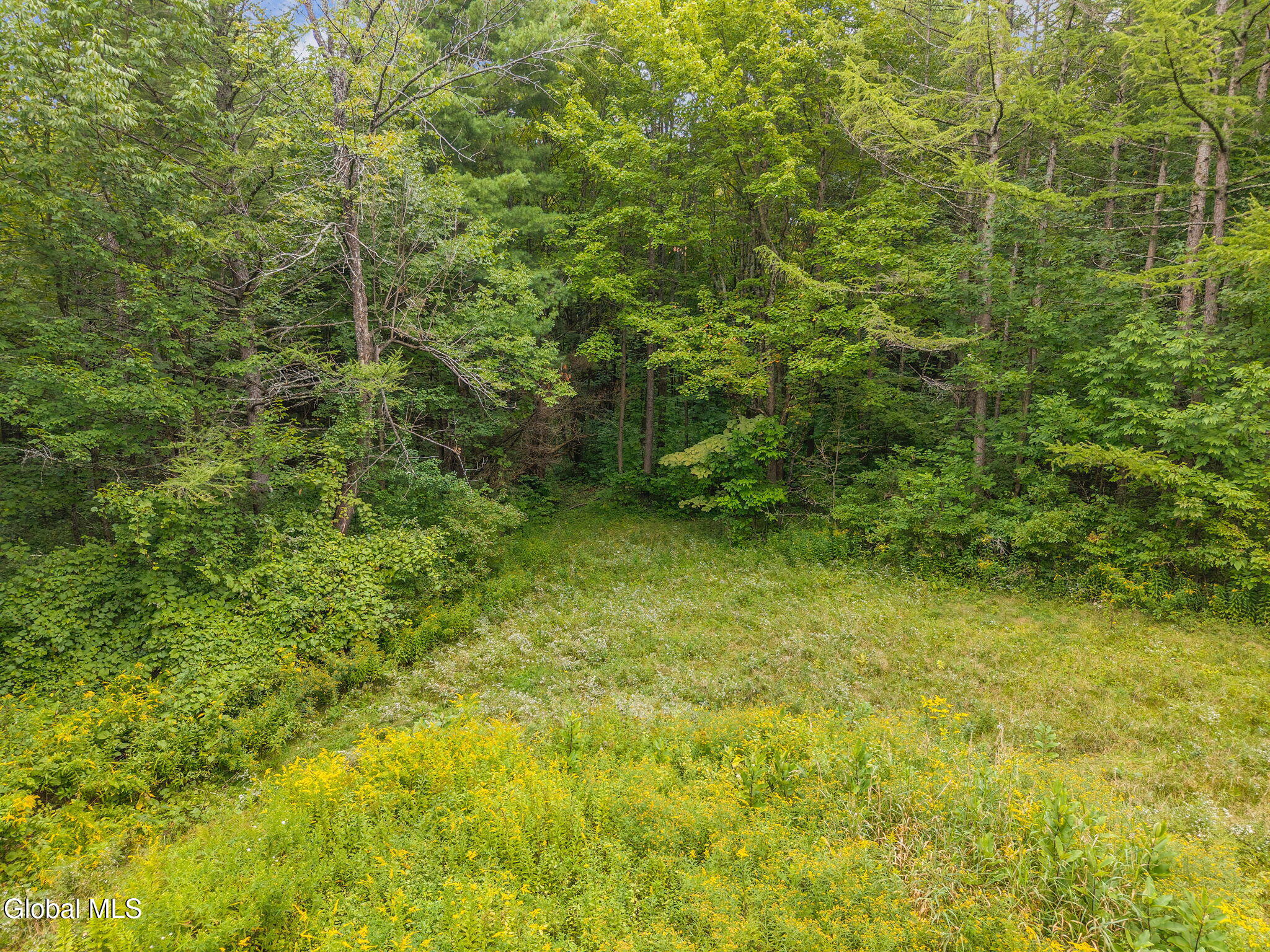 139 Auser Road Esperance NY 12066