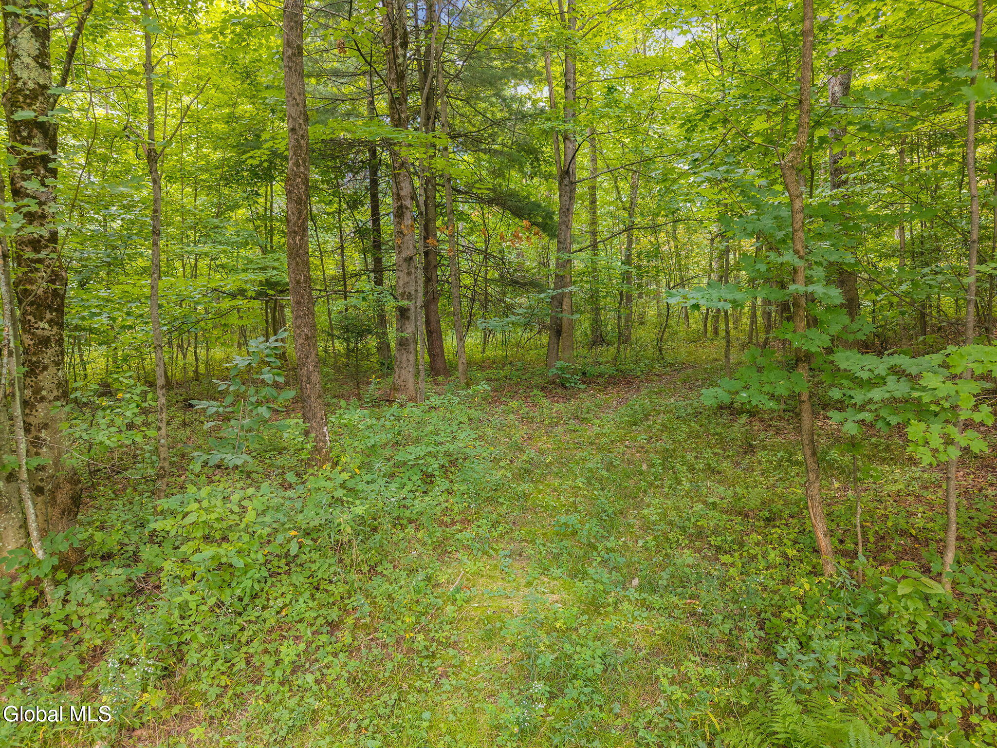 139 Auser Road Esperance NY 12066
