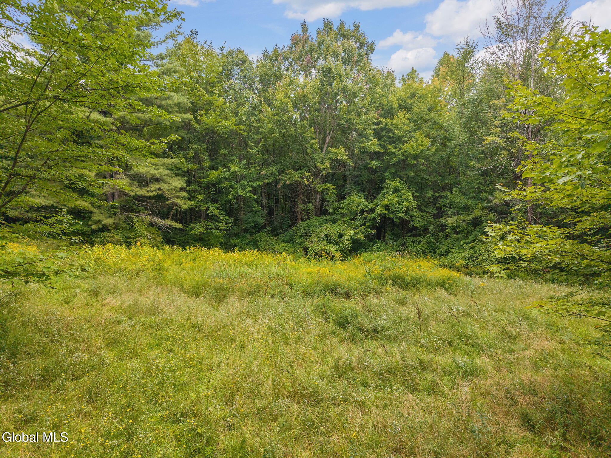 139 Auser Road Esperance NY 12066