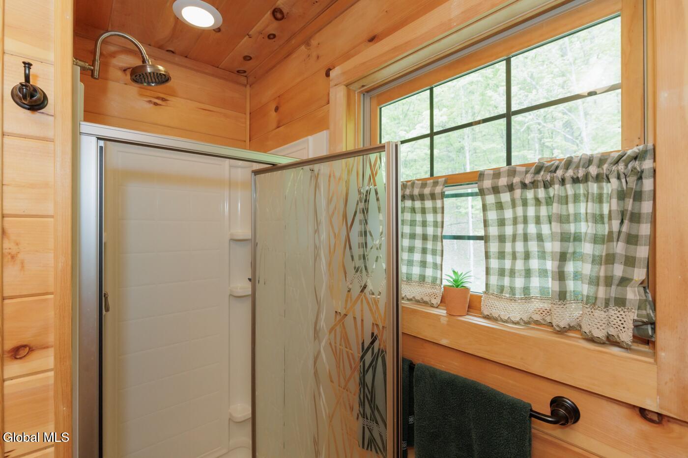 47 Roney Road Preston Hollow NY 12469